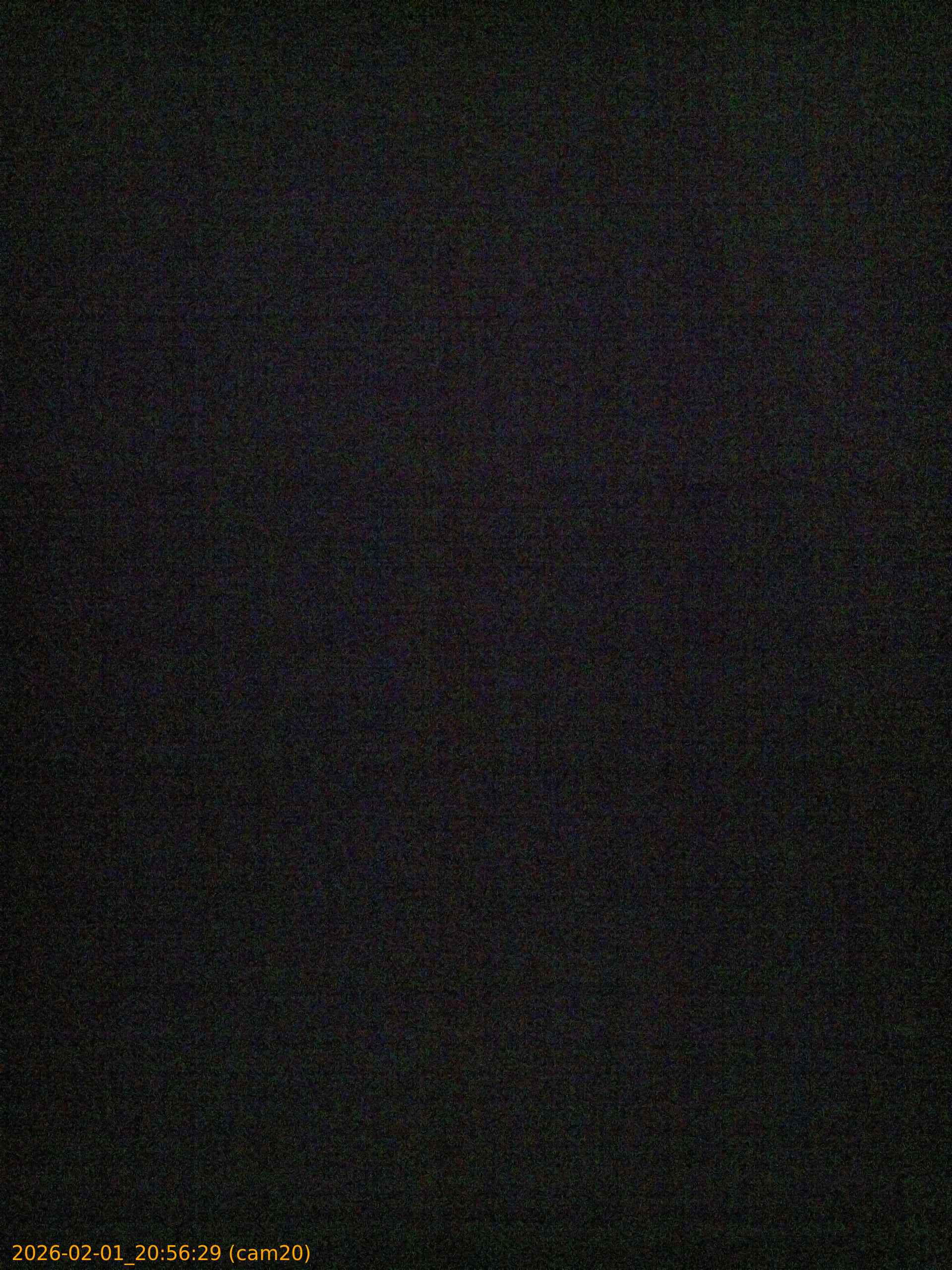 thumbnail_20260201205629