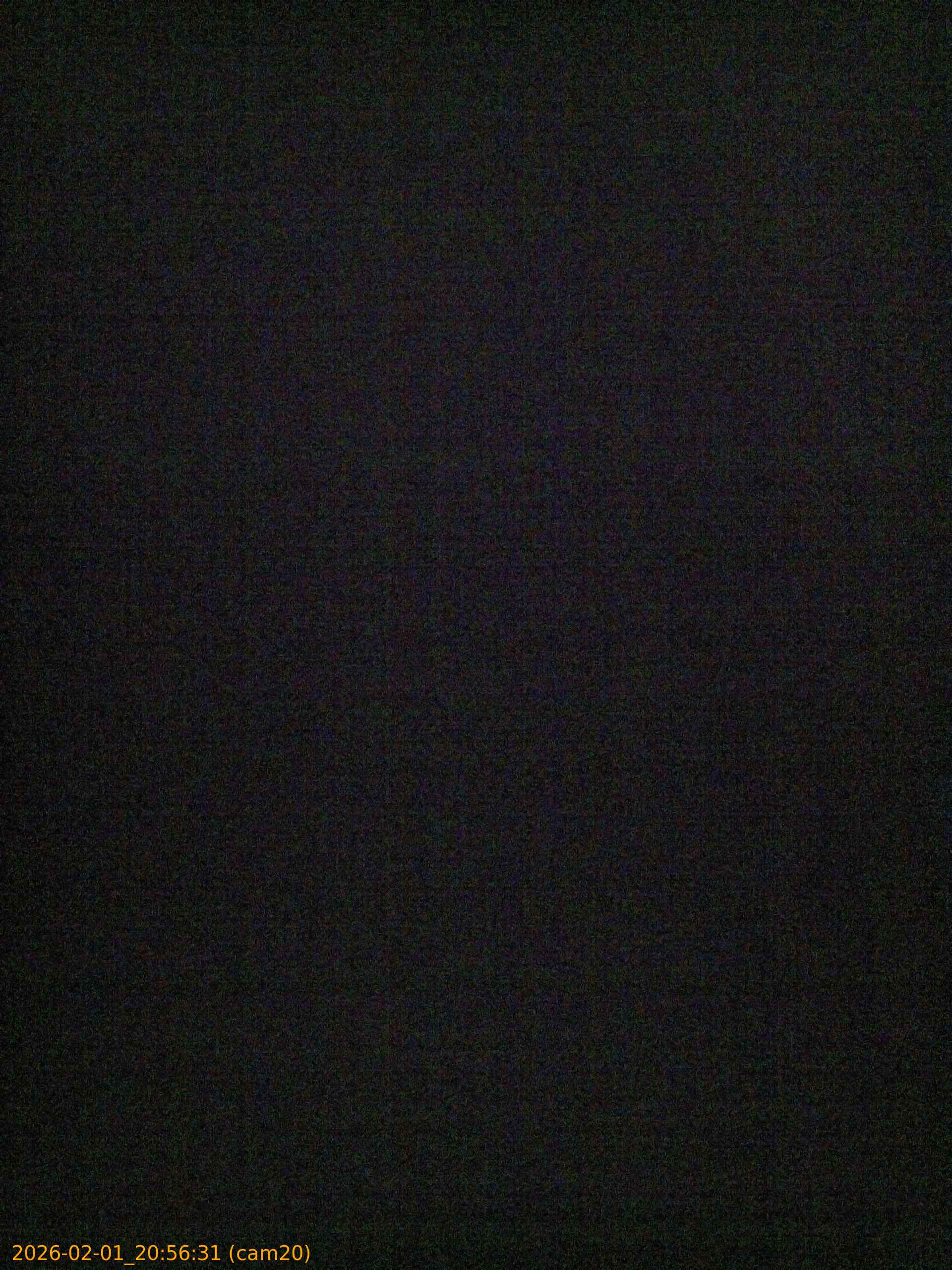 thumbnail_20260201205631