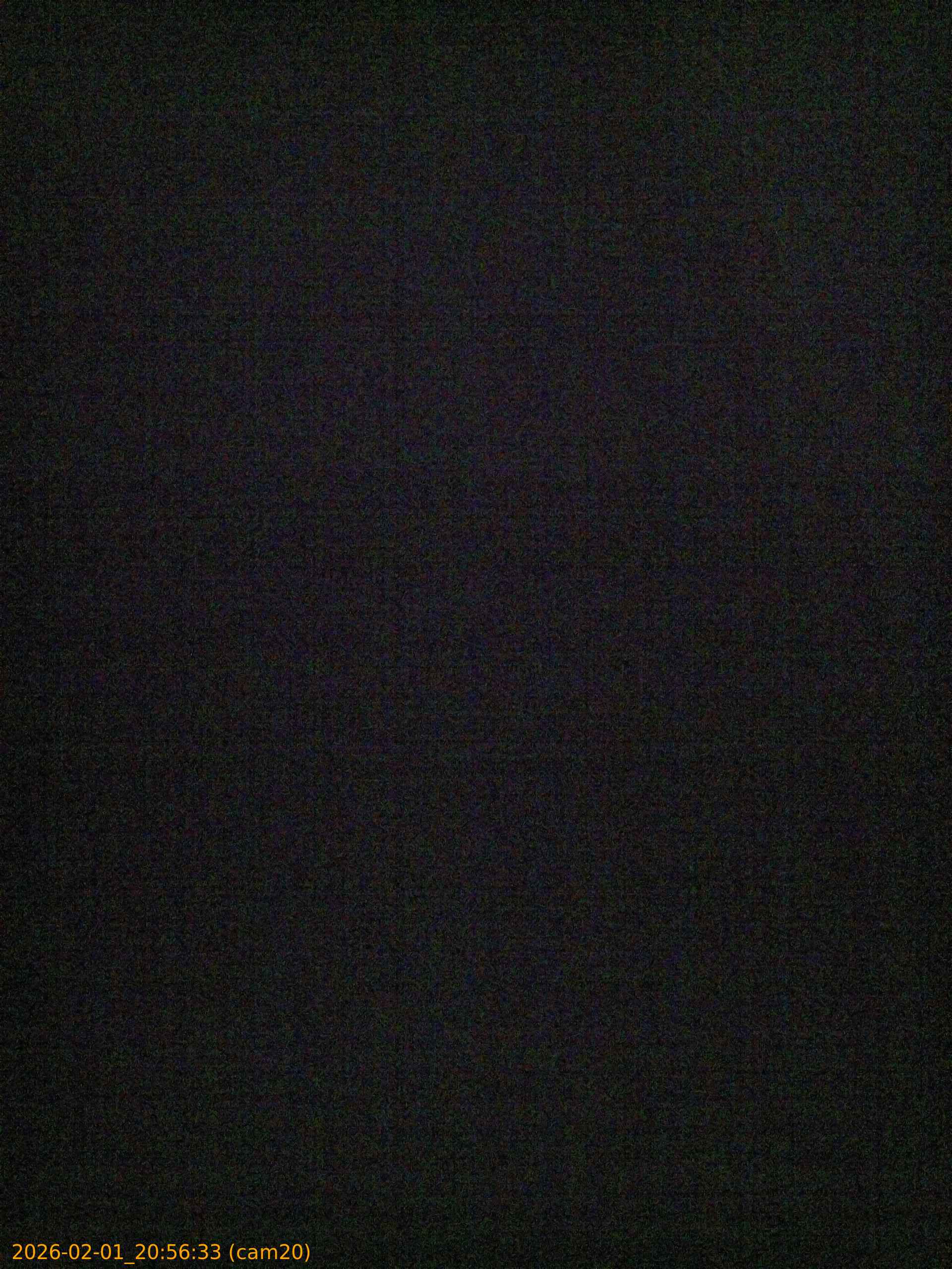 thumbnail_20260201205633