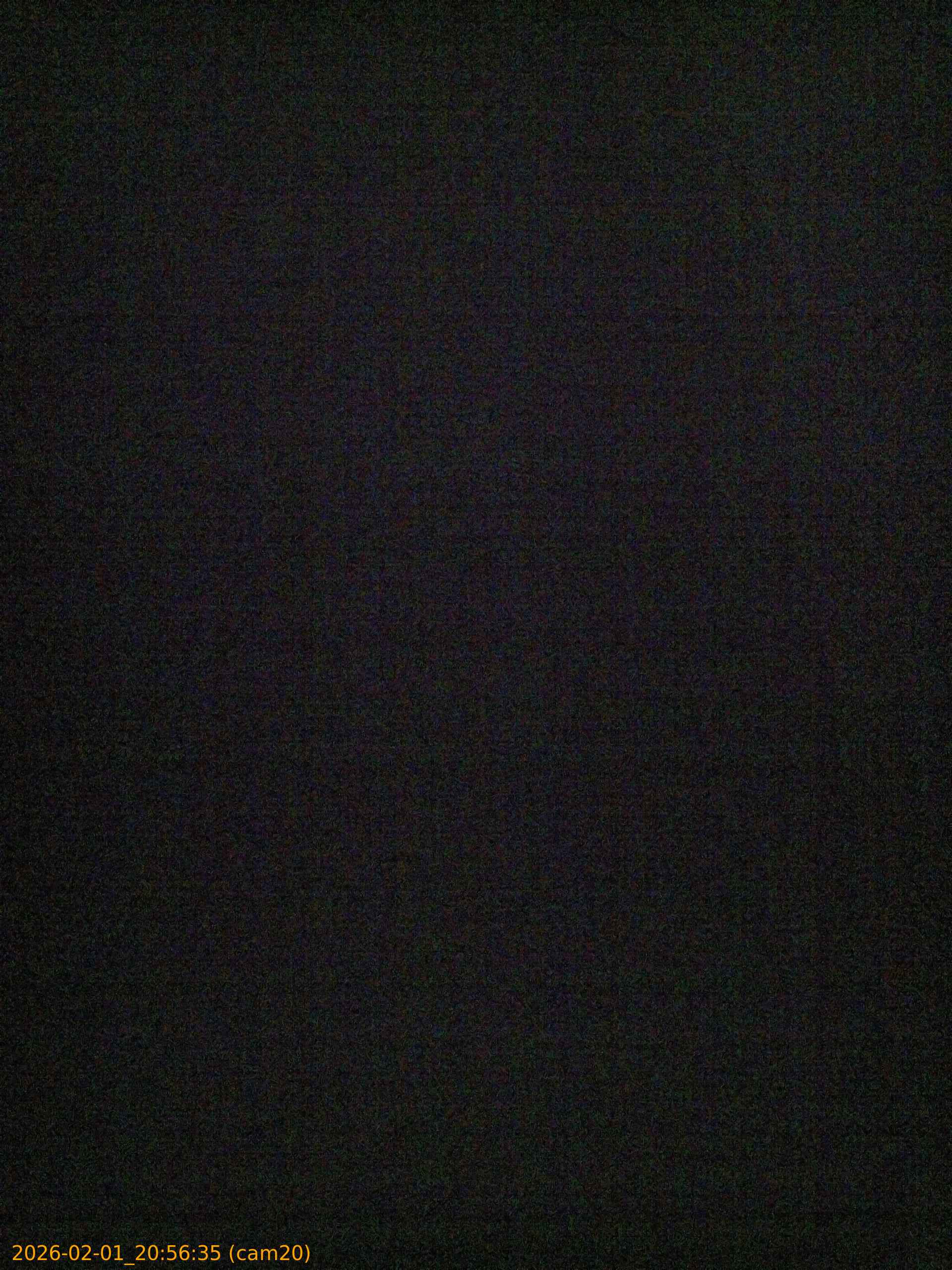 thumbnail_20260201205635