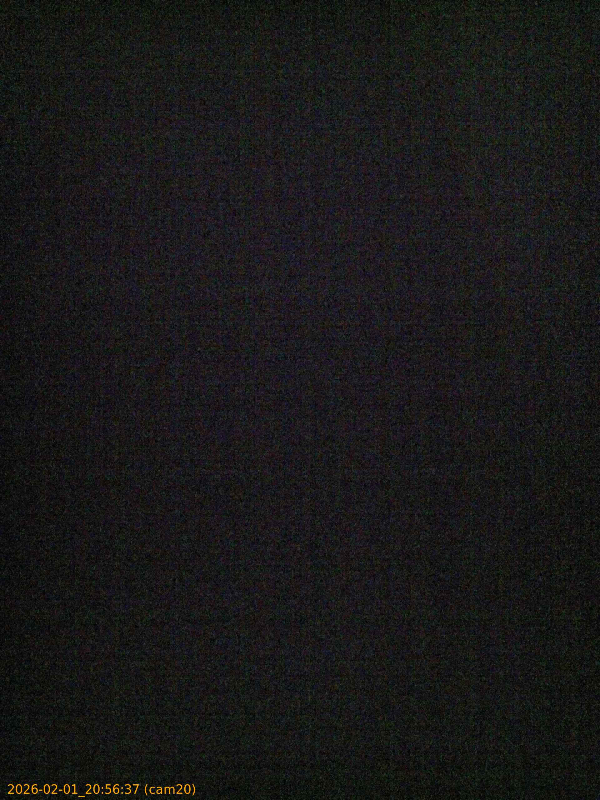 thumbnail_20260201205637