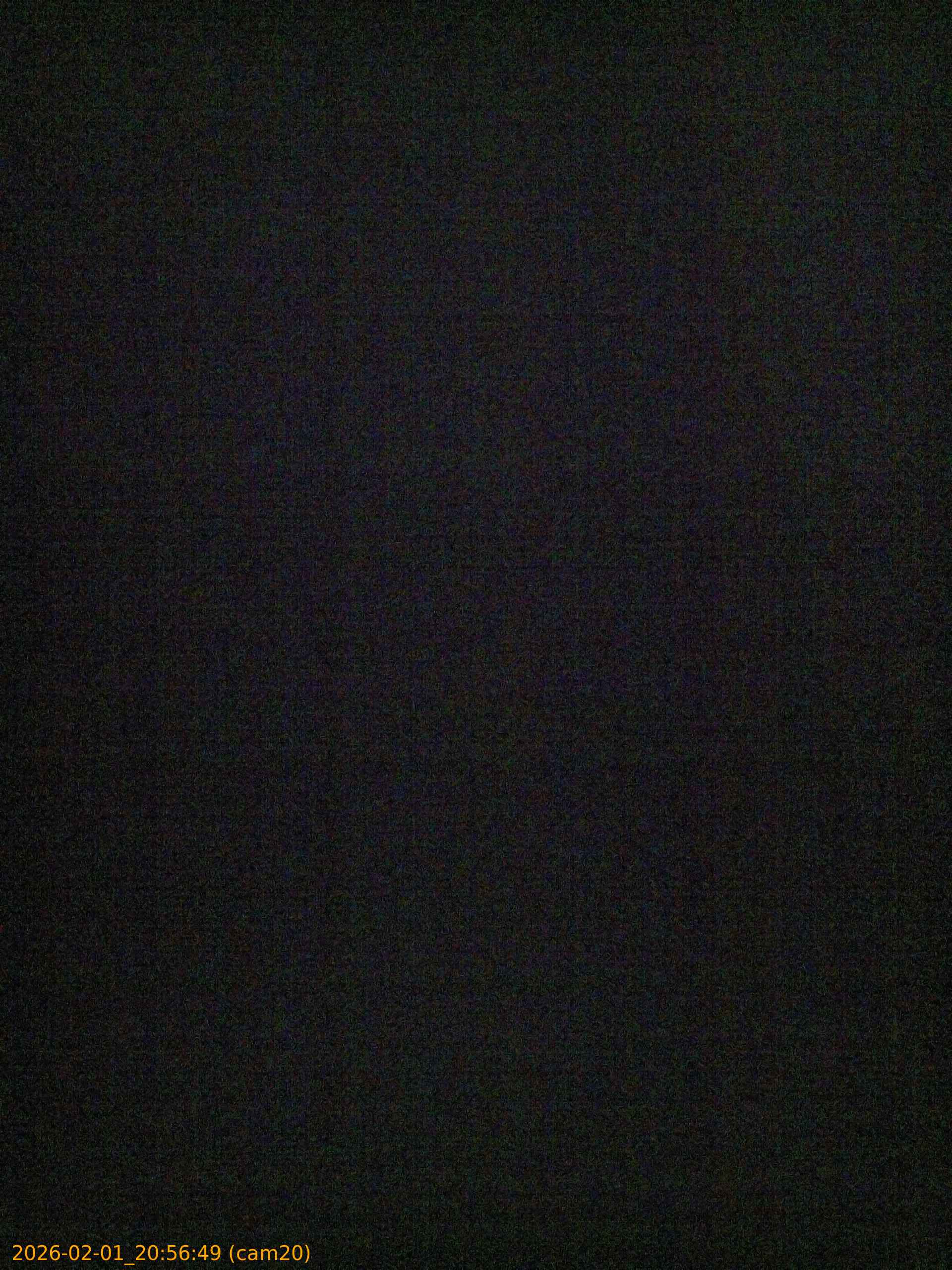 thumbnail_20260201205649