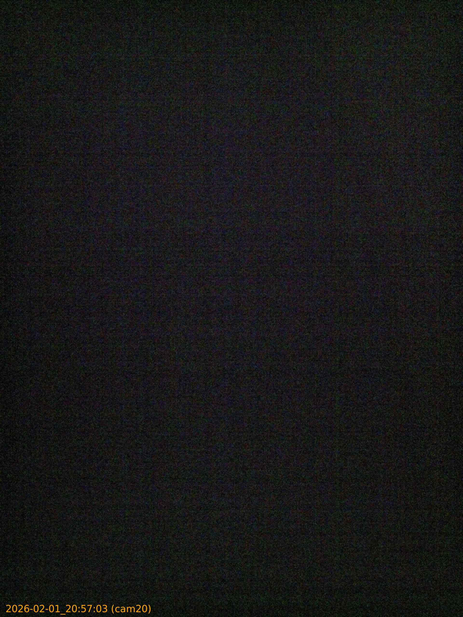 thumbnail_20260201205703