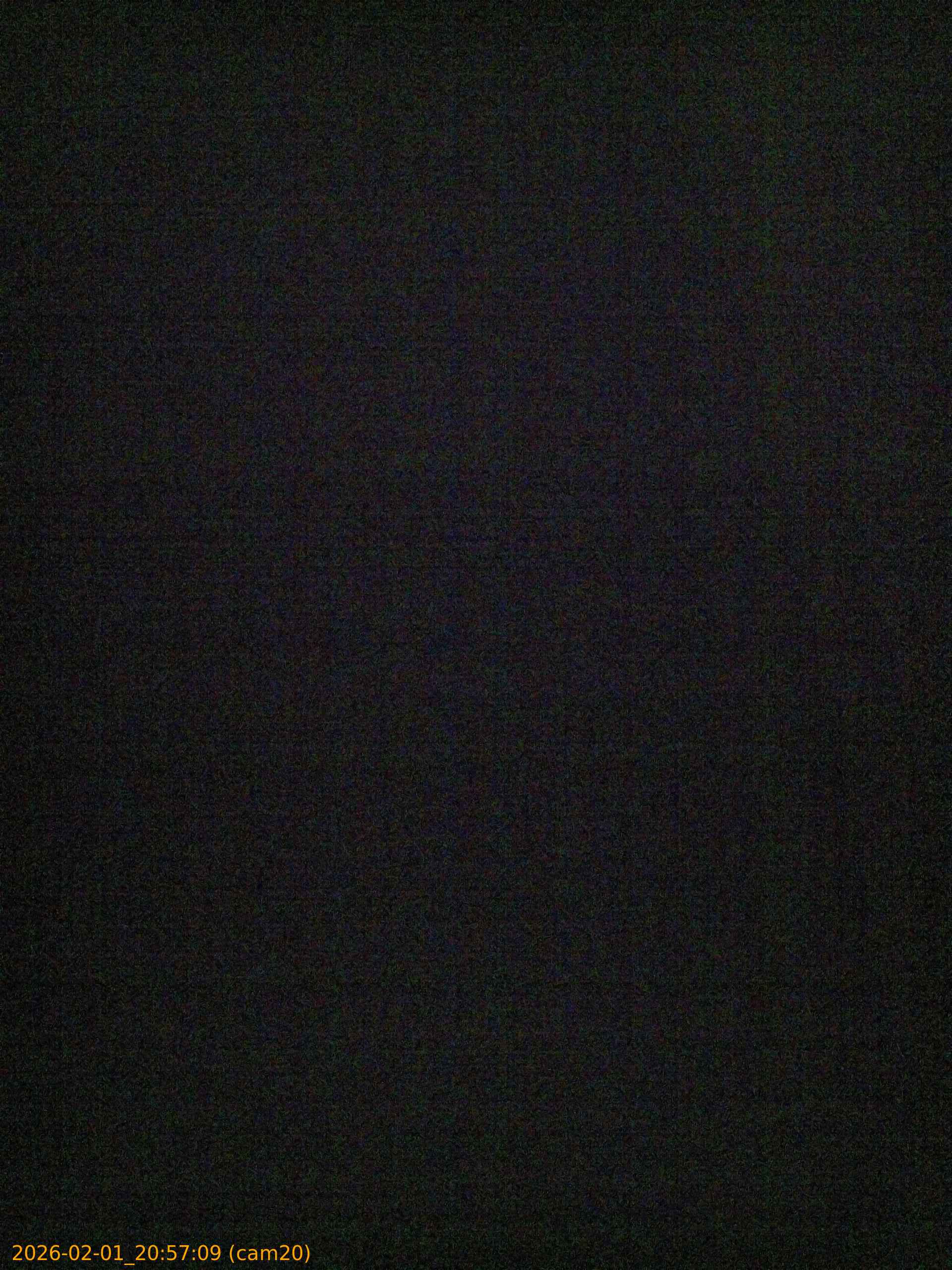 thumbnail_20260201205709