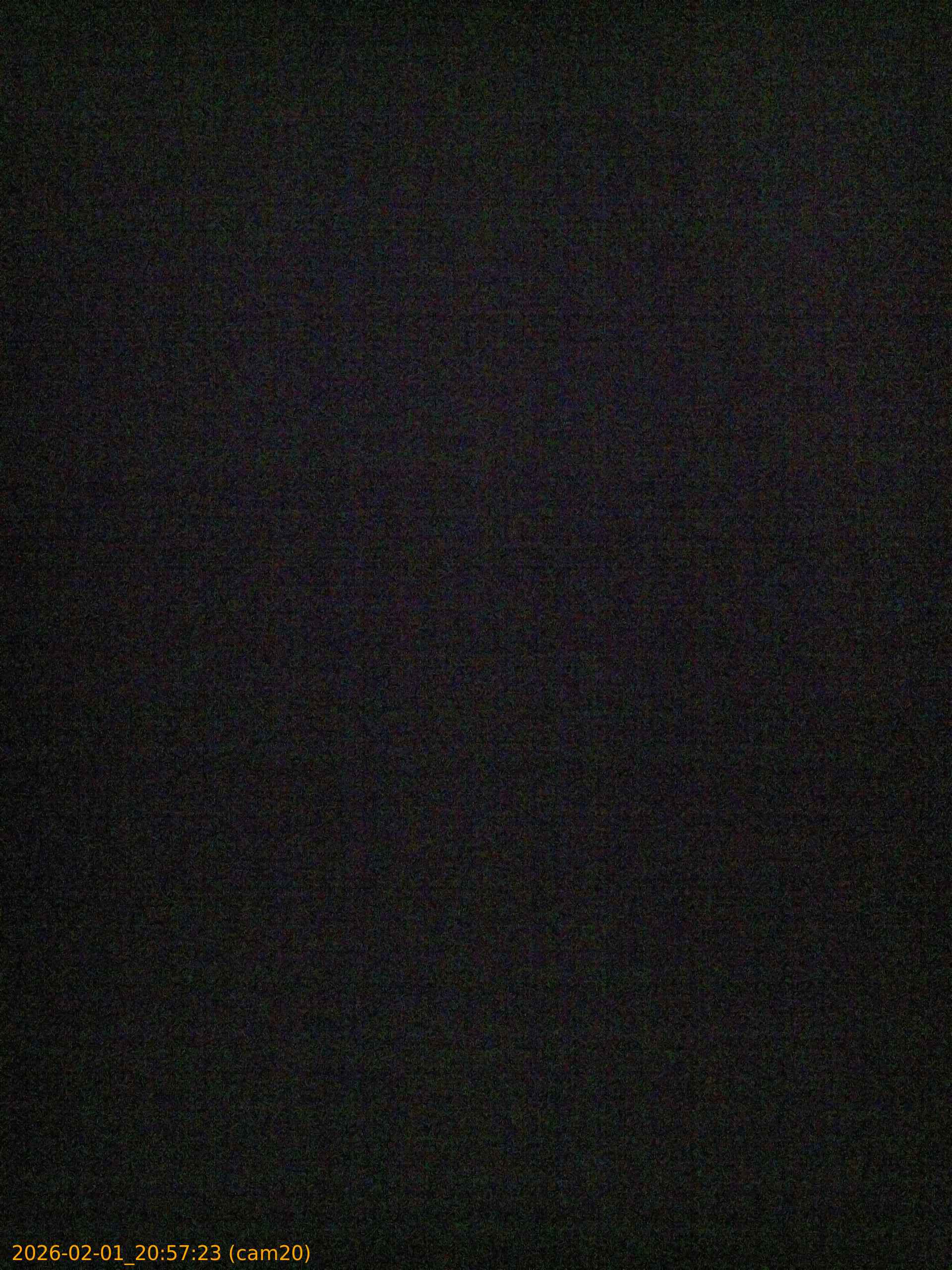 thumbnail_20260201205723