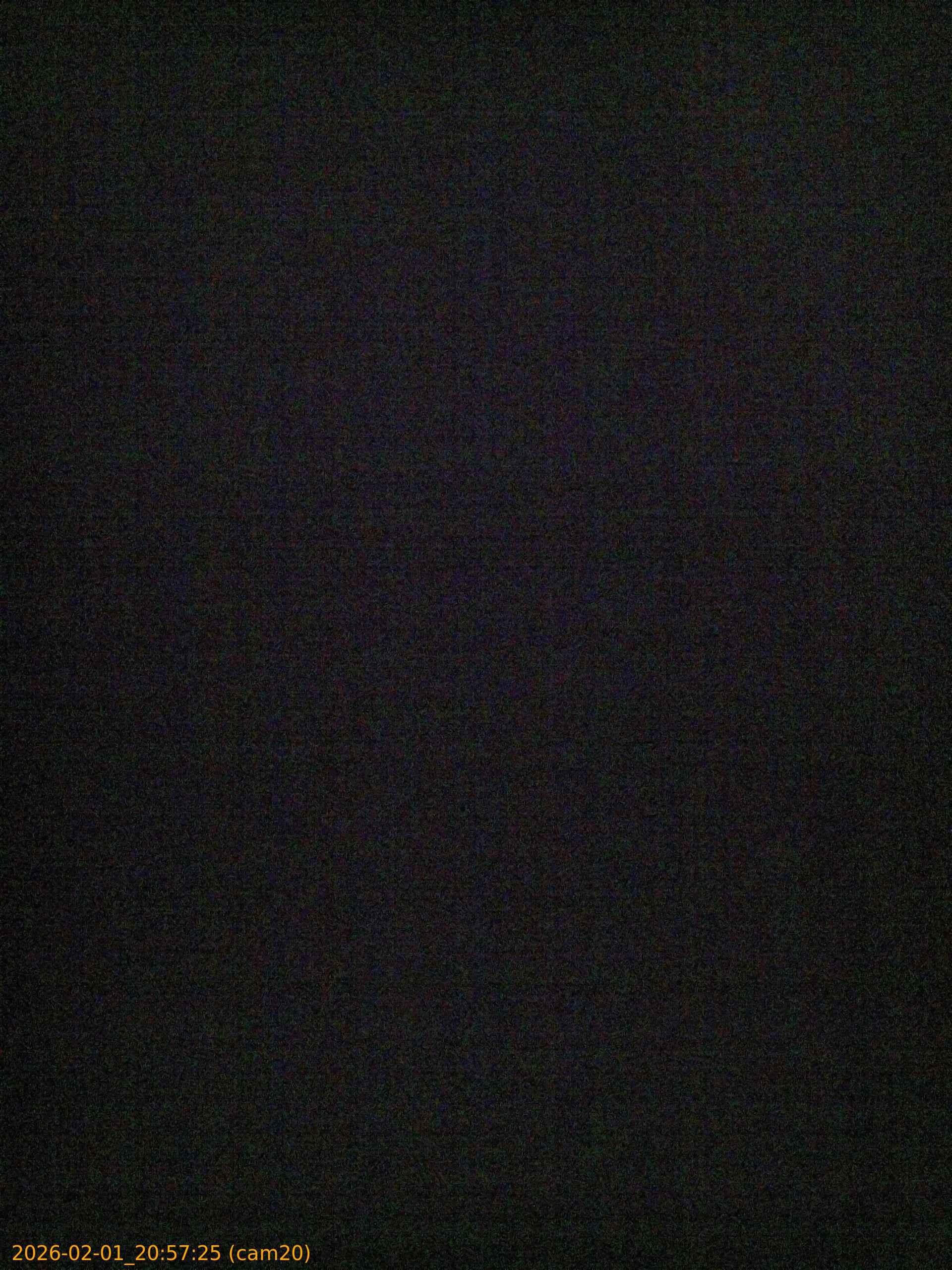 thumbnail_20260201205725