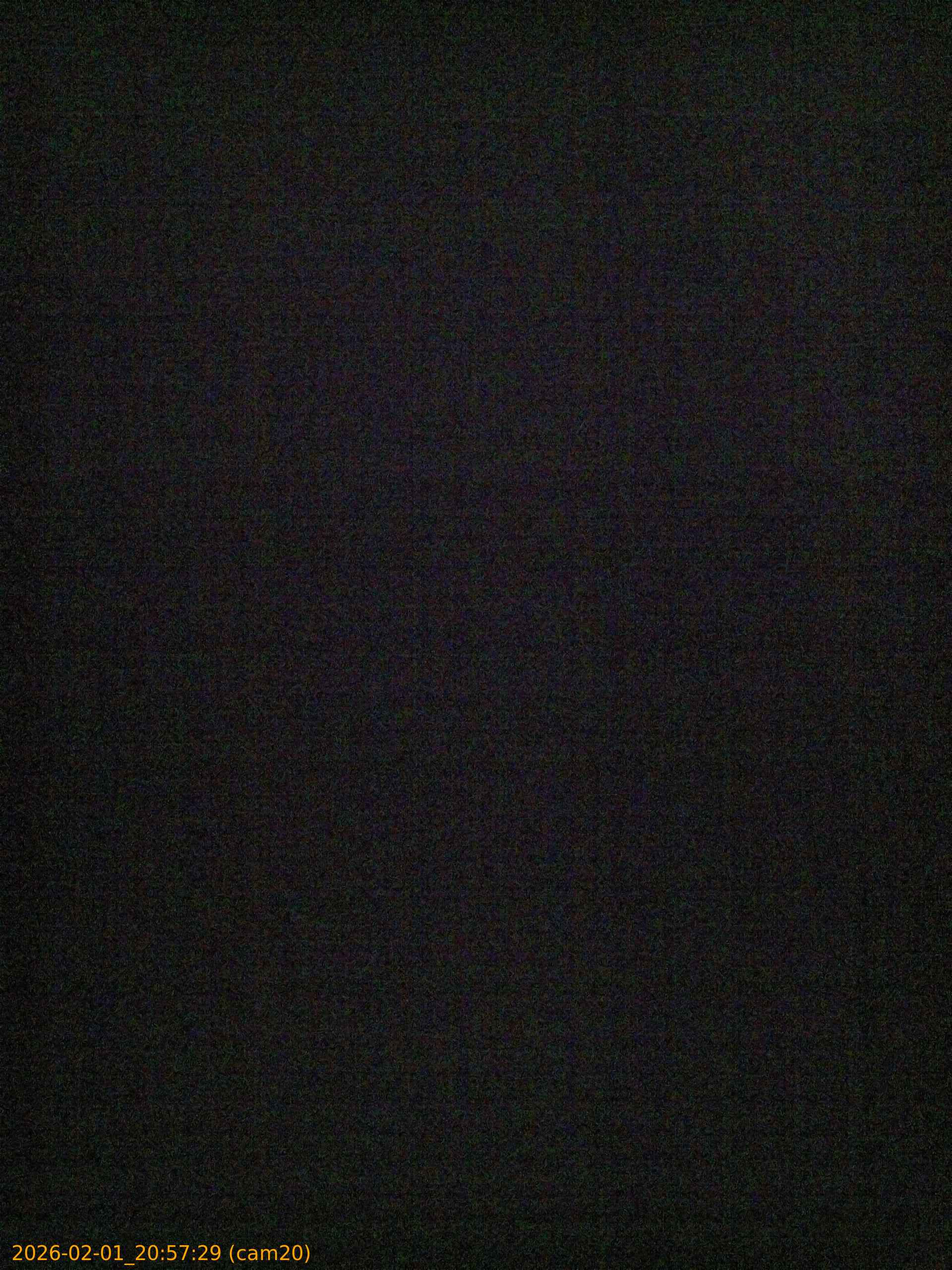 thumbnail_20260201205729