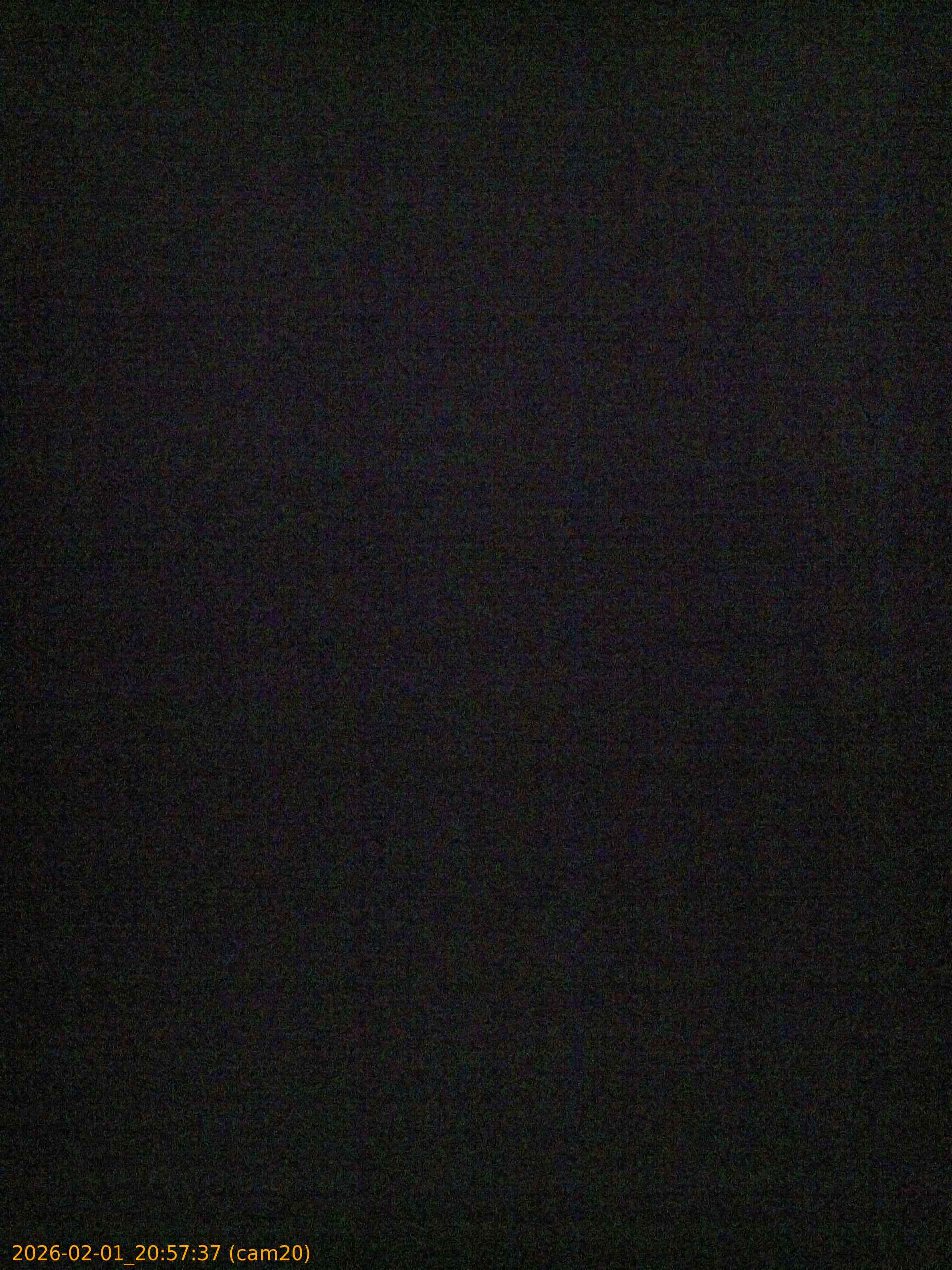 thumbnail_20260201205737