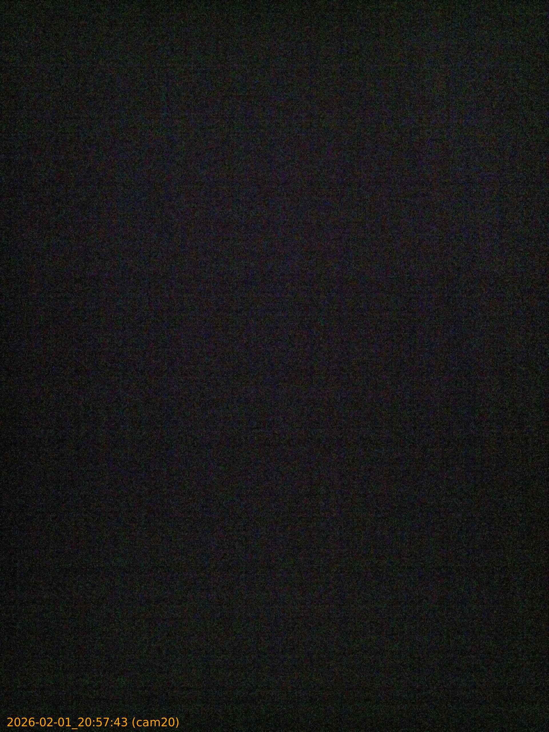 thumbnail_20260201205743