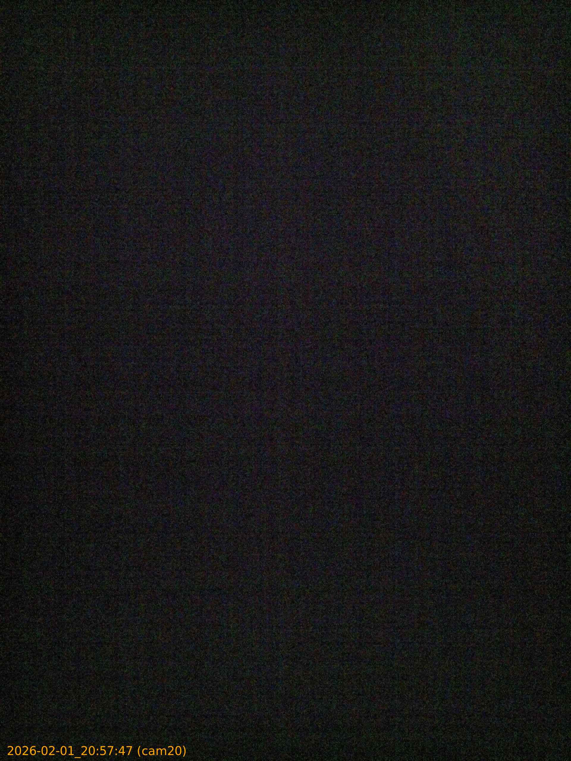 thumbnail_20260201205747