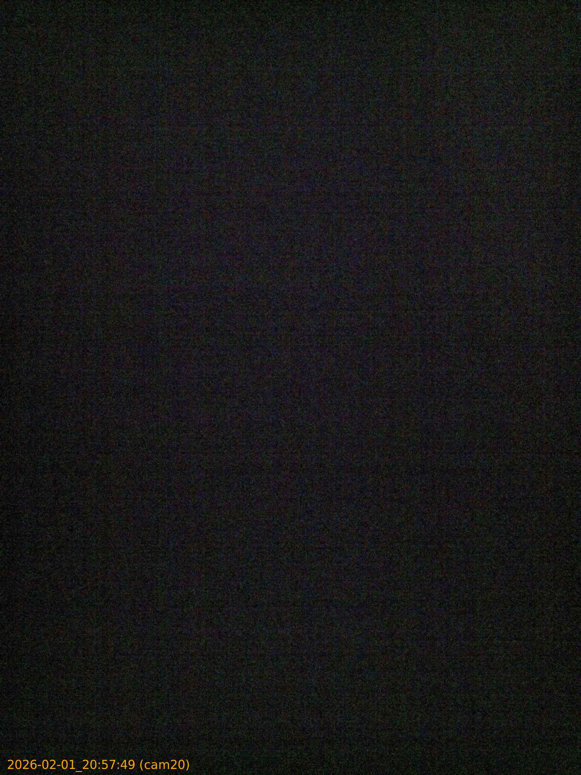 thumbnail_20260201205749