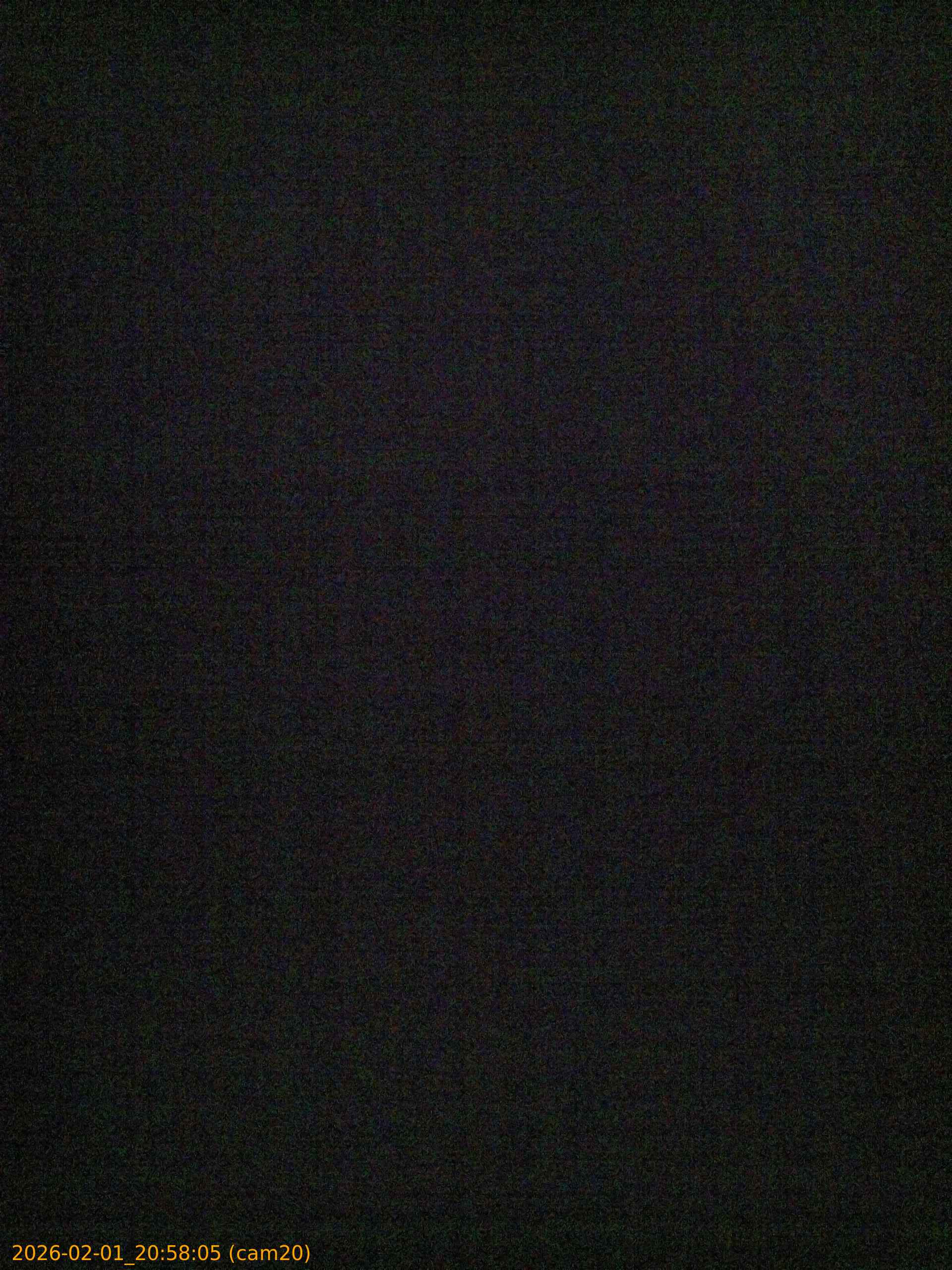 thumbnail_20260201205805