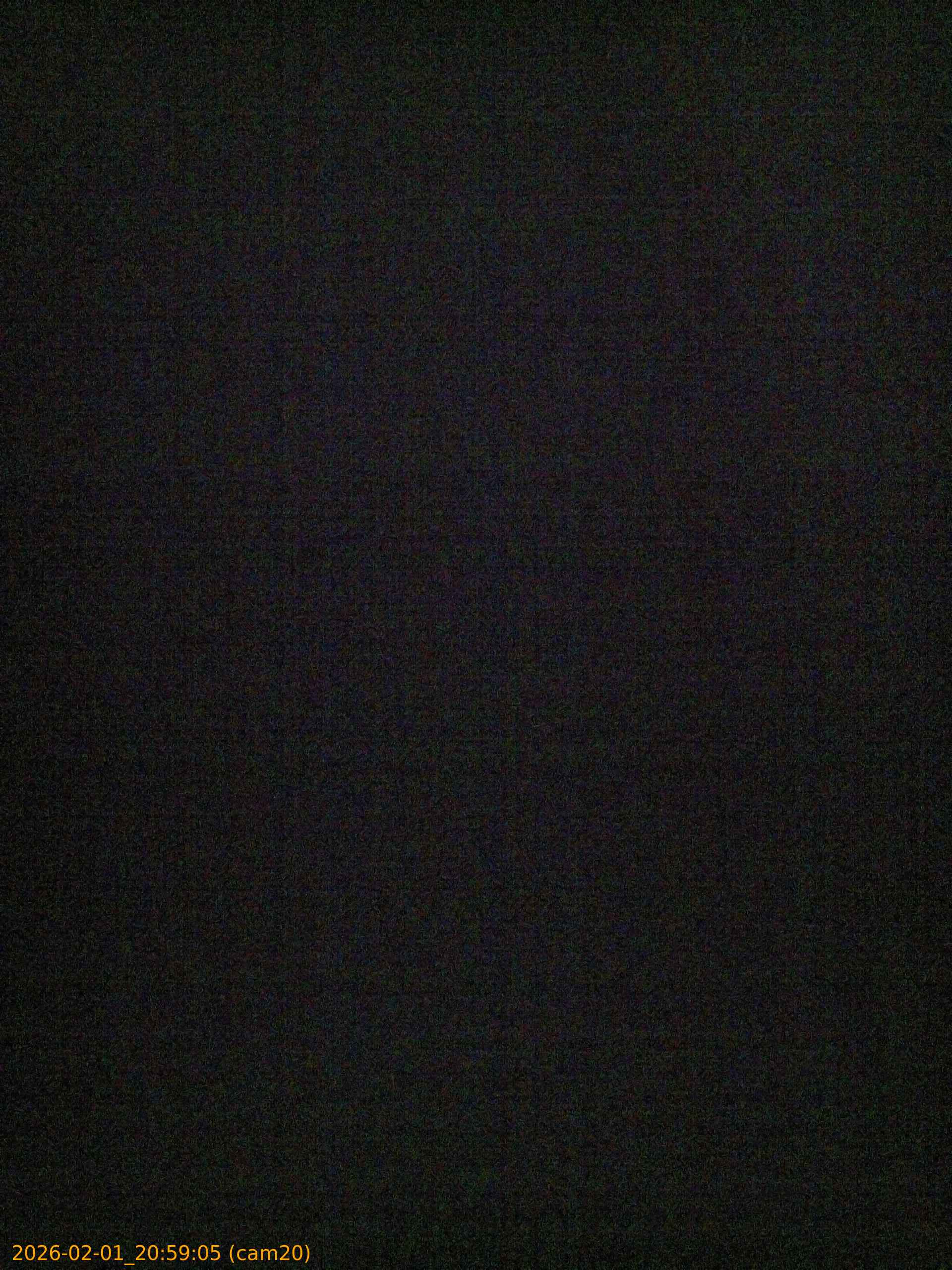 thumbnail_20260201205905