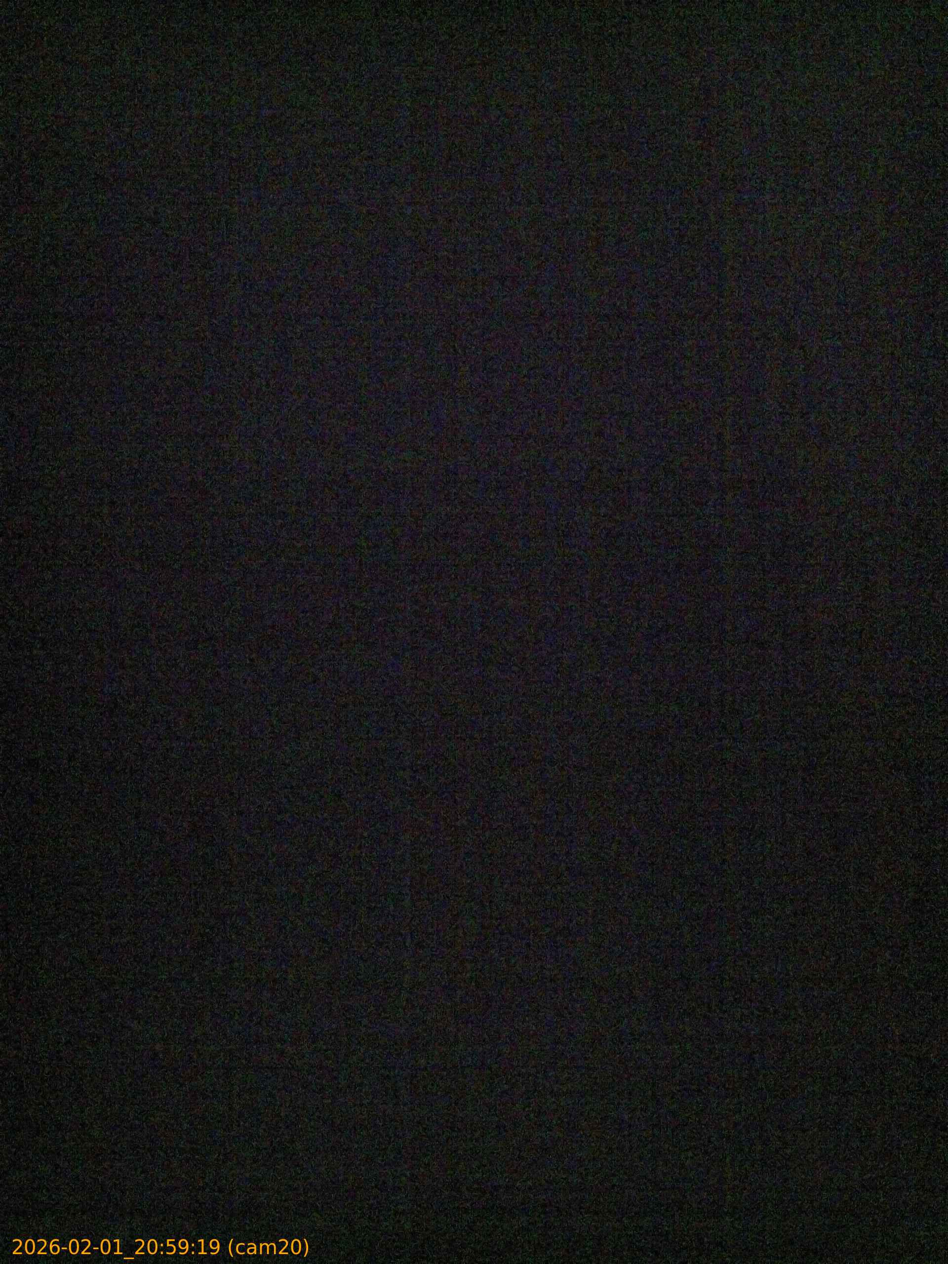 thumbnail_20260201205919