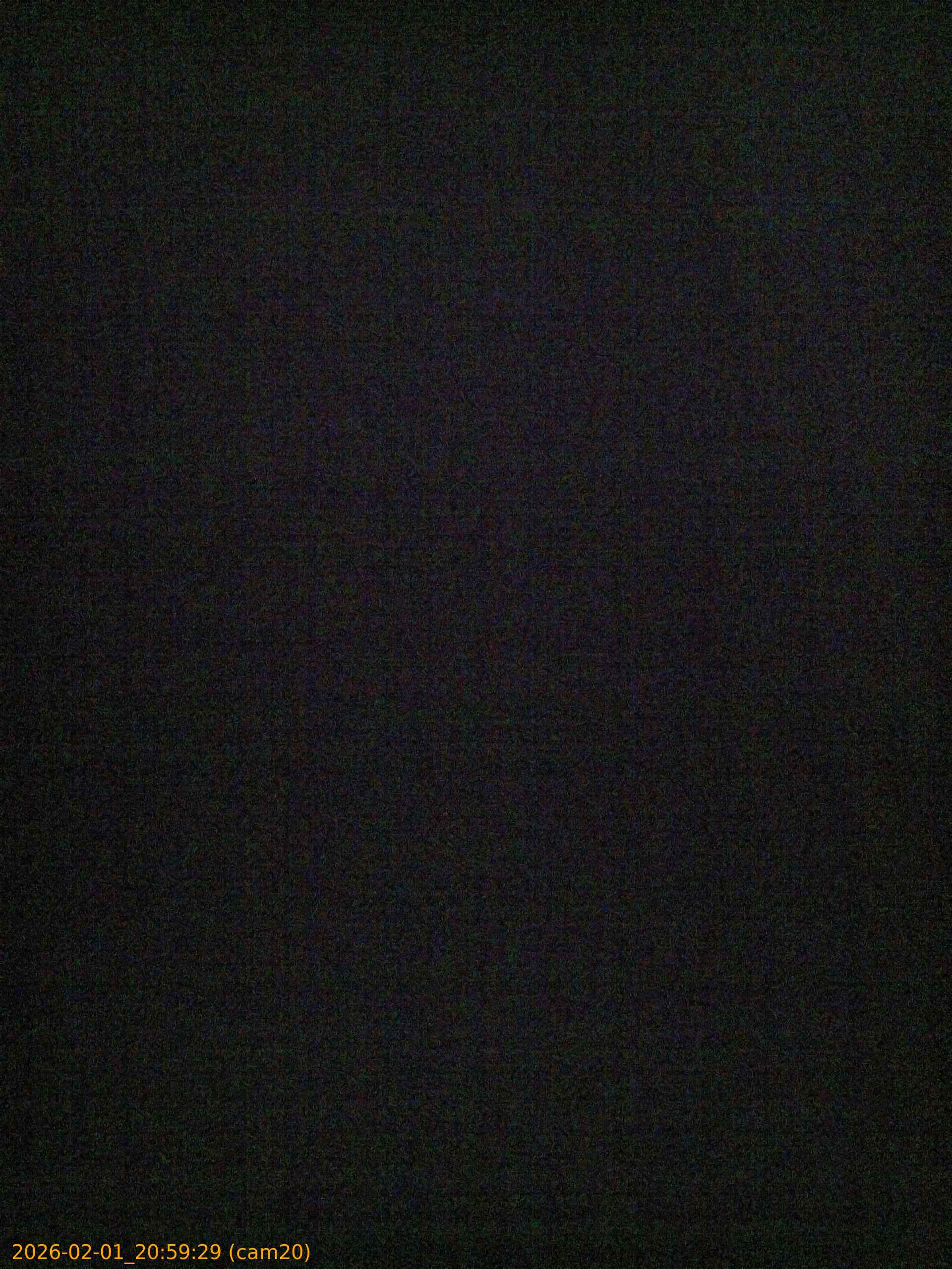 thumbnail_20260201205929