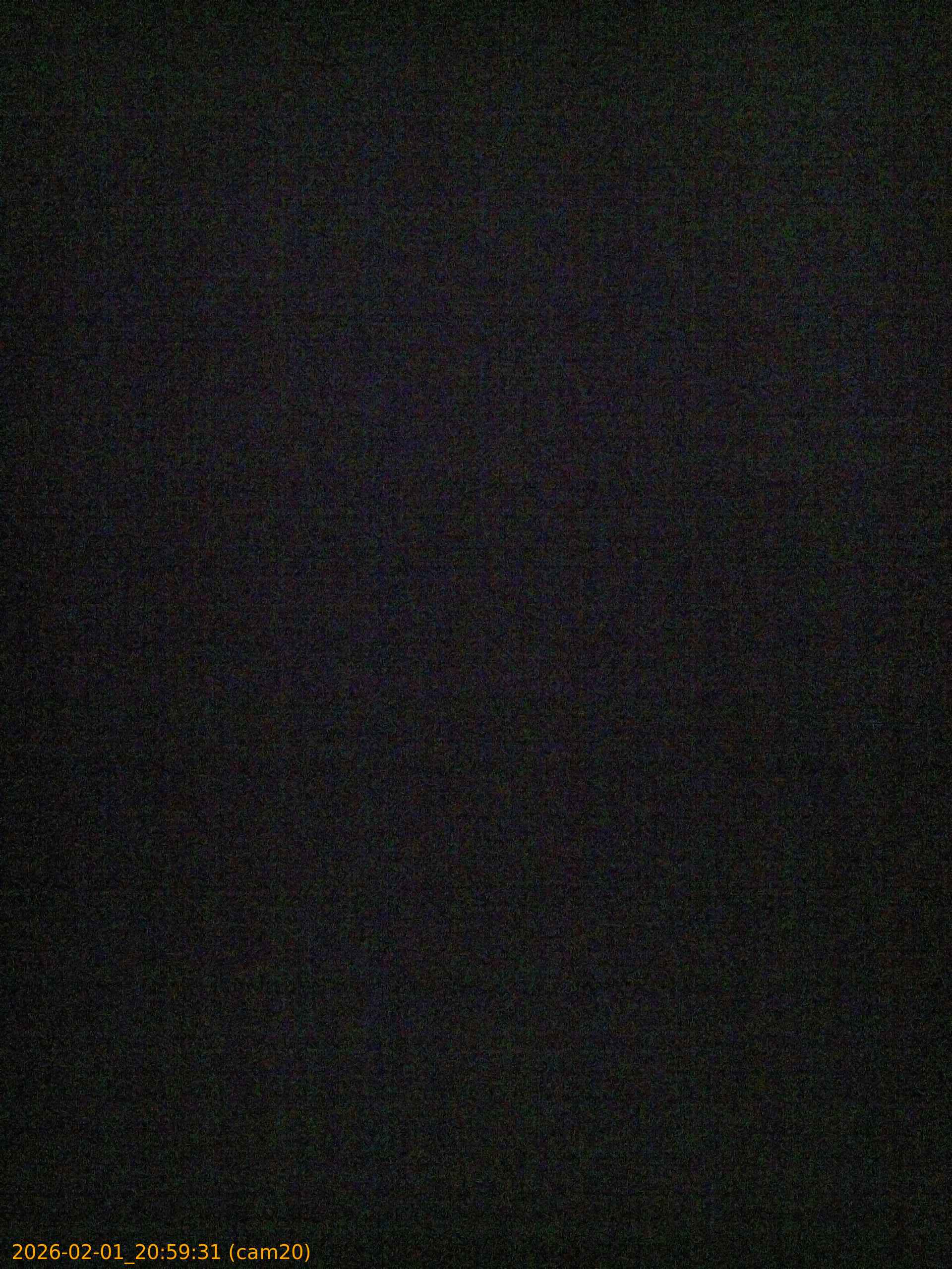 thumbnail_20260201205931