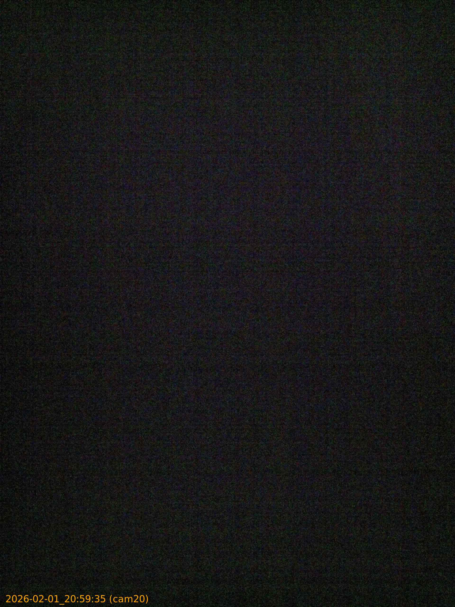 thumbnail_20260201205935