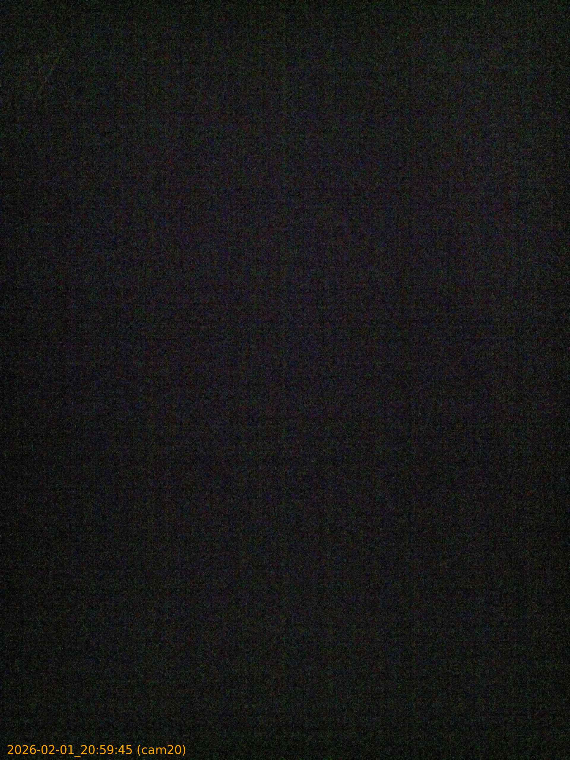 thumbnail_20260201205945