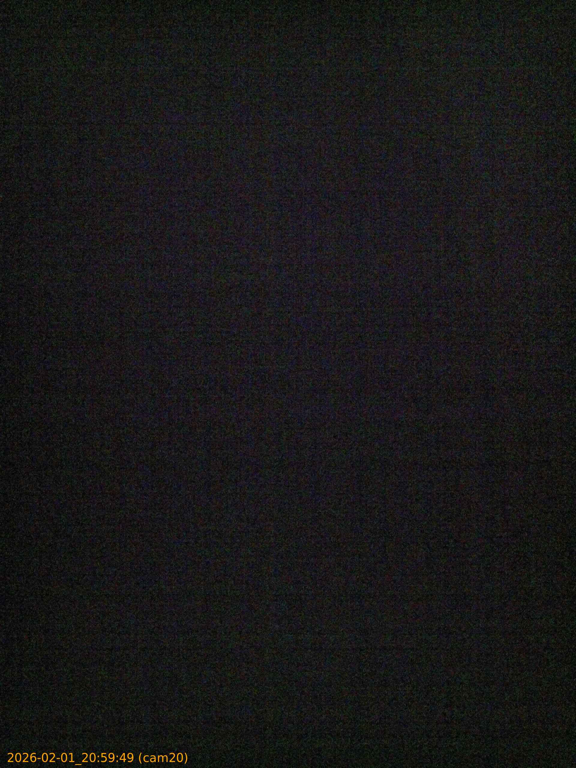 thumbnail_20260201205949