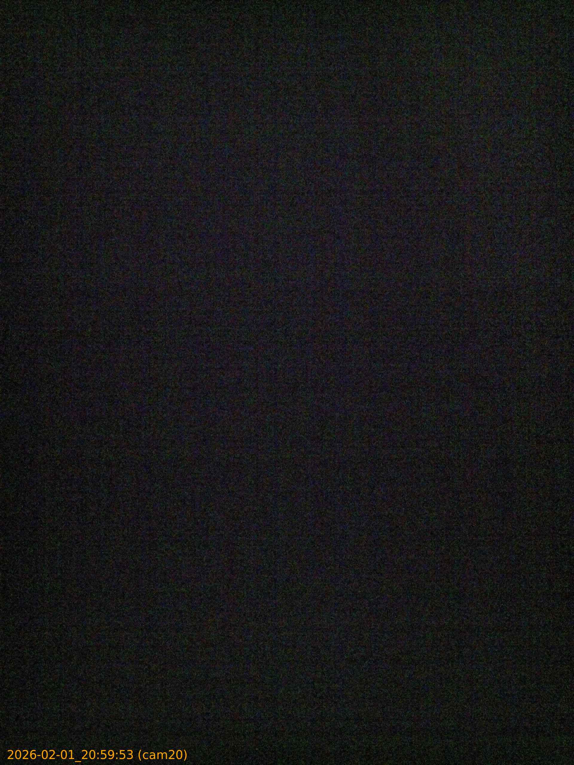 thumbnail_20260201205953