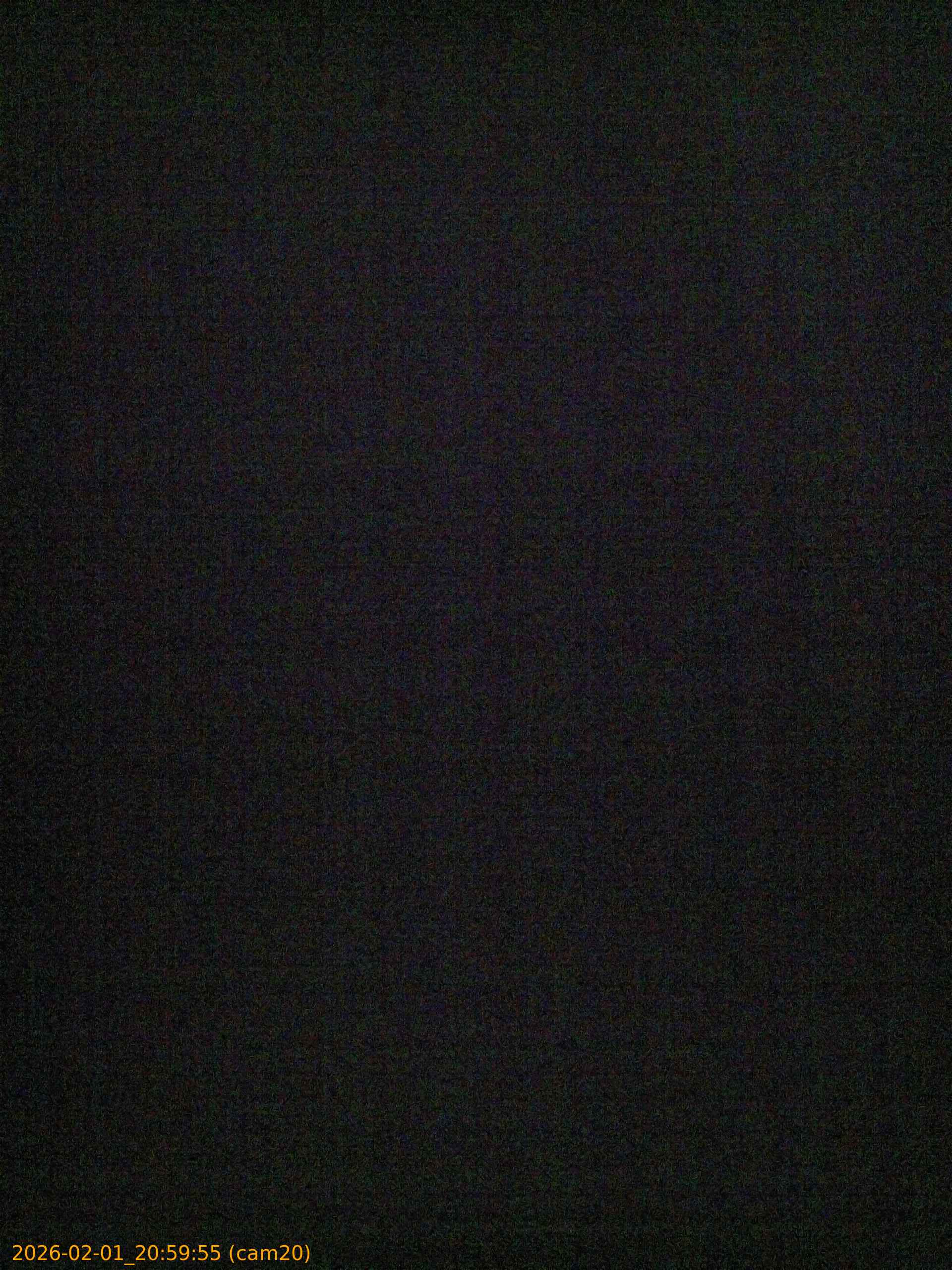 thumbnail_20260201205955