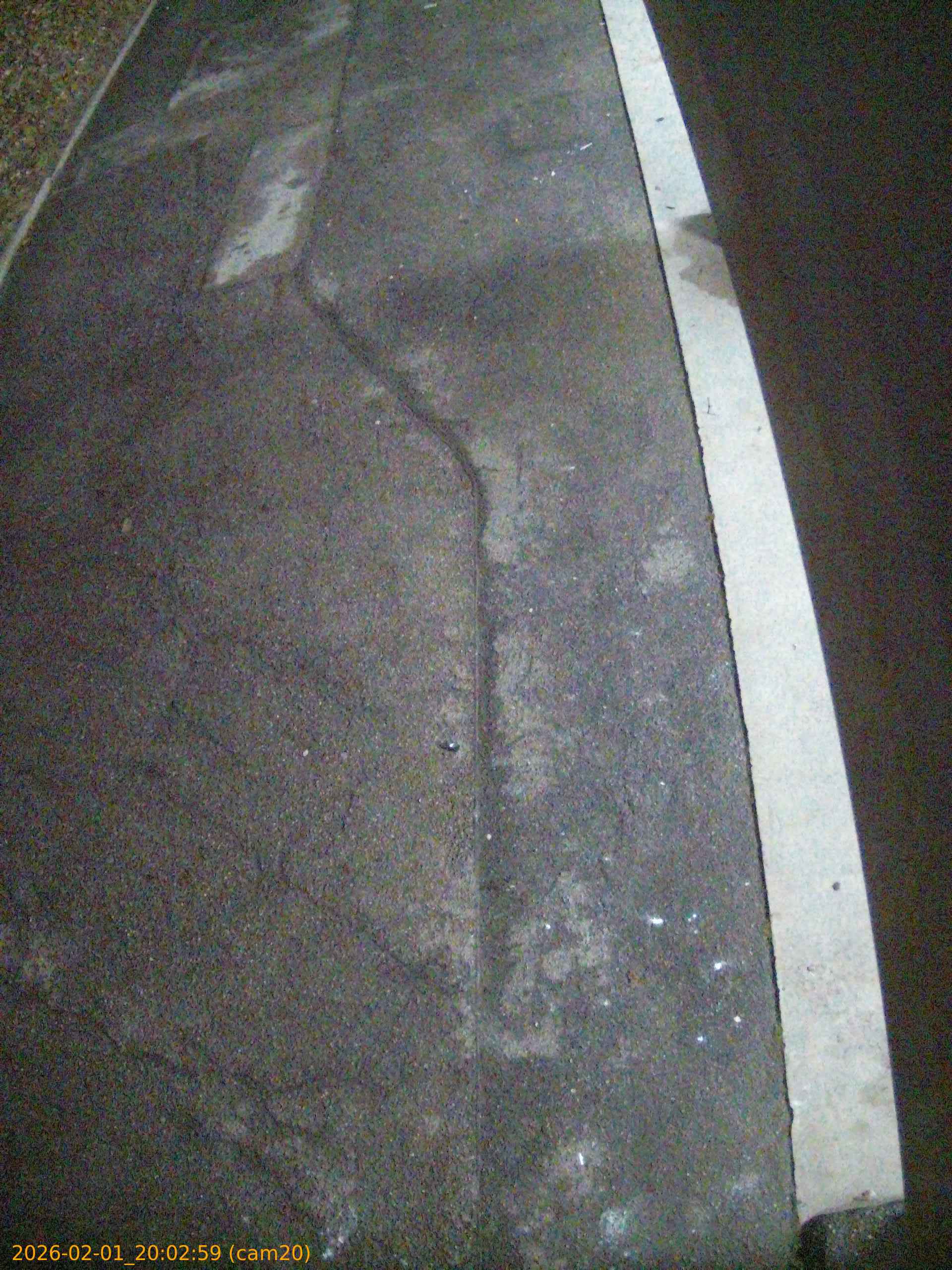 thumbnail_202602012002