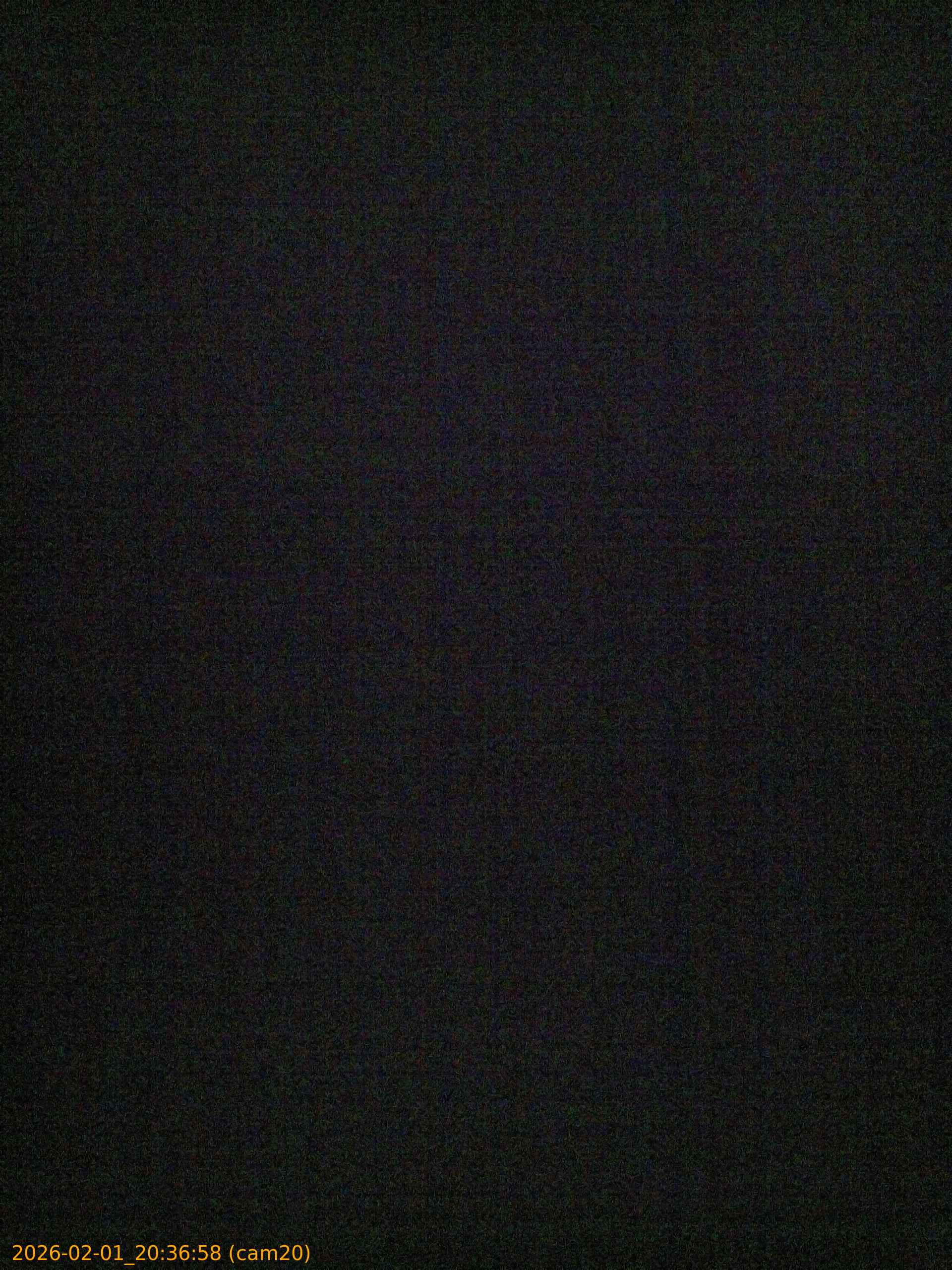 thumbnail_202602012036