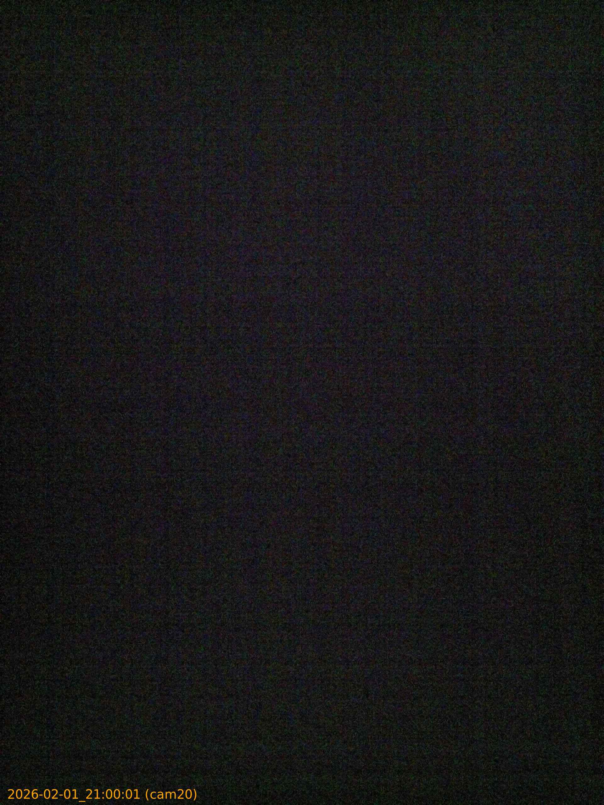 thumbnail_20260201210001