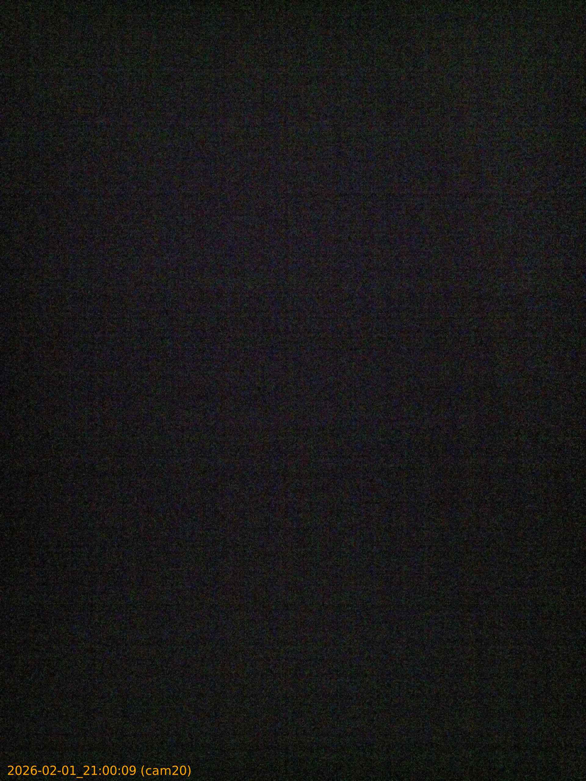 thumbnail_20260201210009