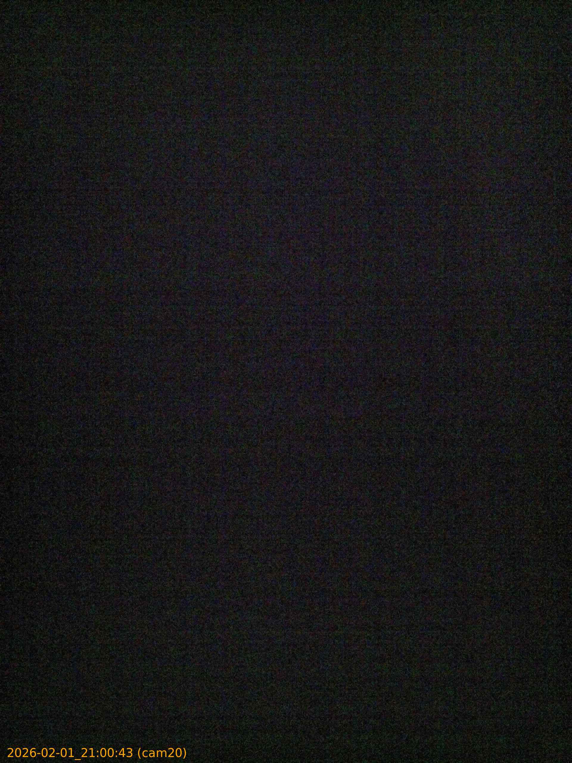 thumbnail_20260201210043