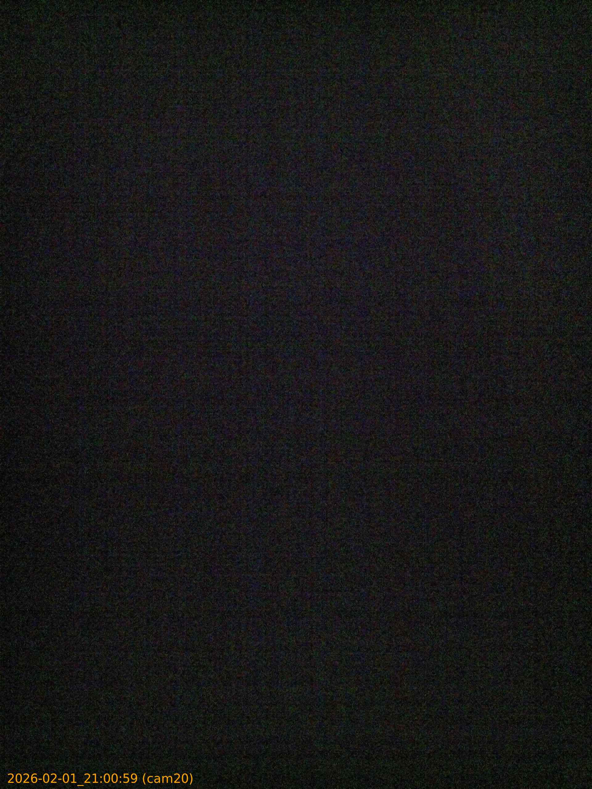 thumbnail_20260201210059