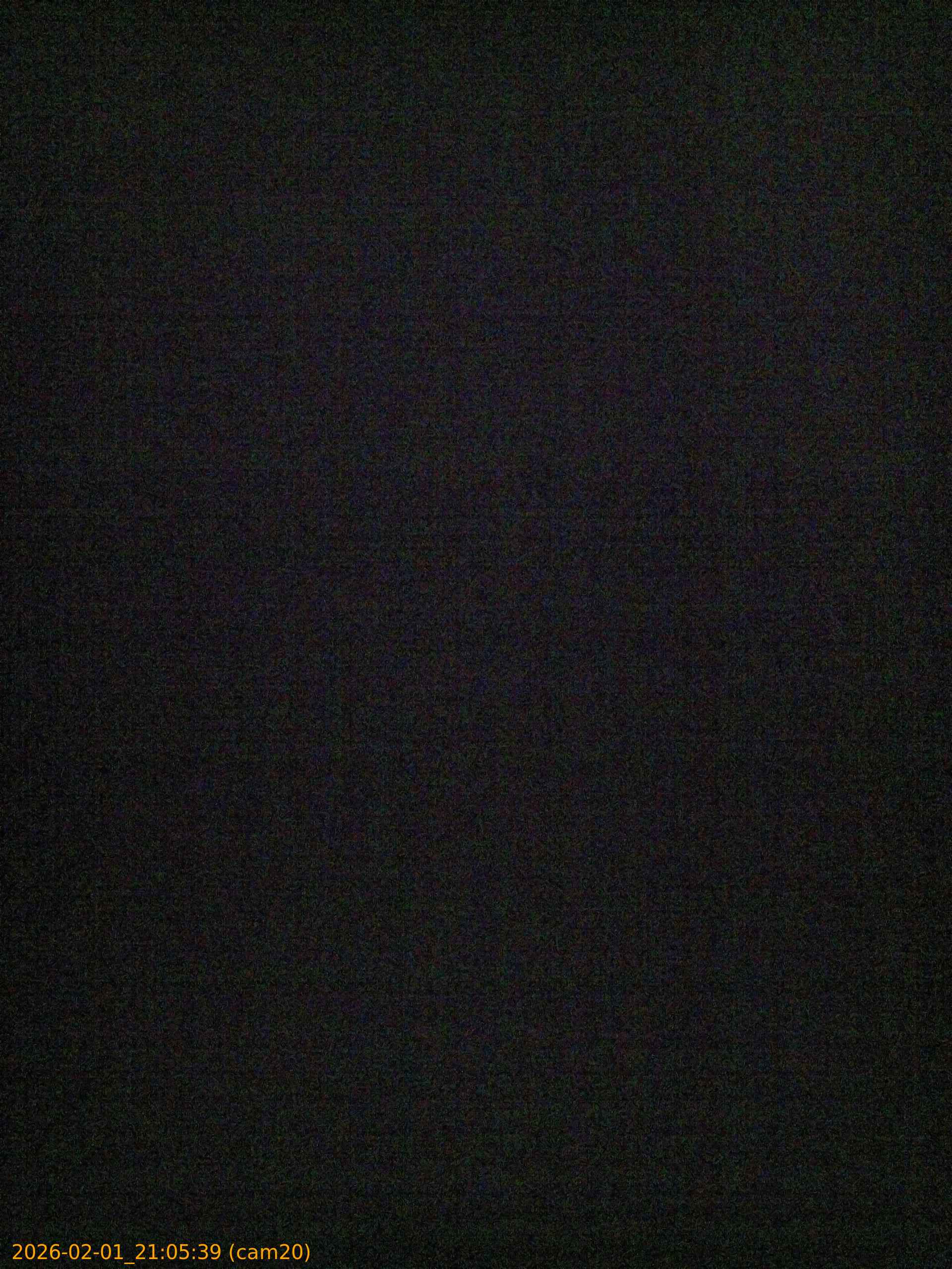 thumbnail_20260201210539