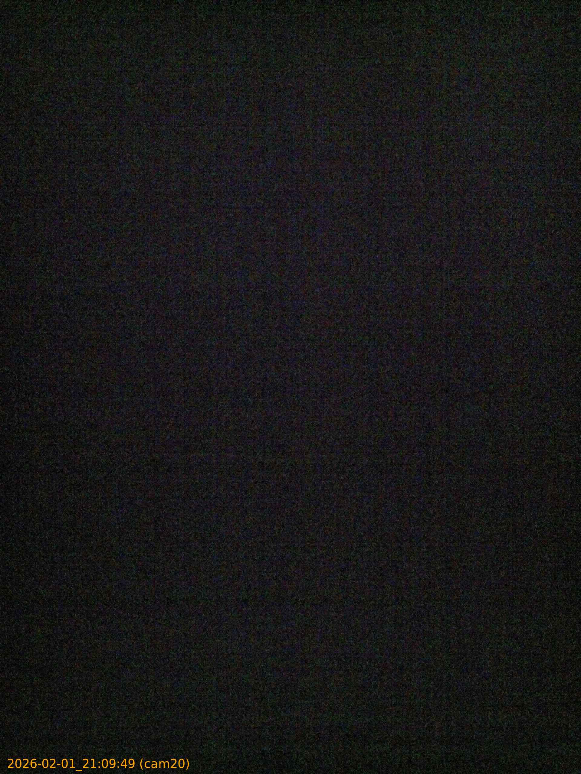 thumbnail_20260201210949