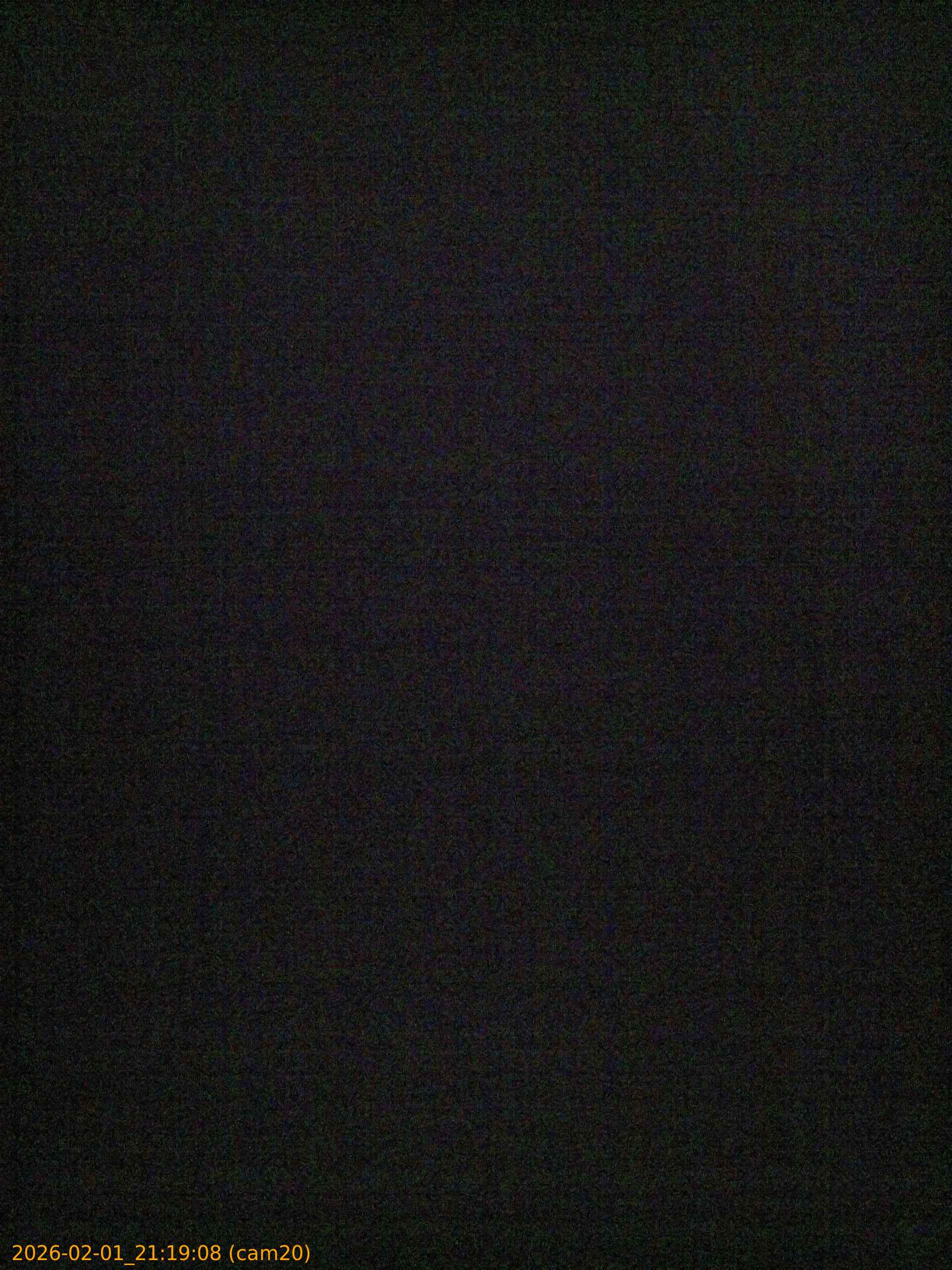 thumbnail_20260201211908