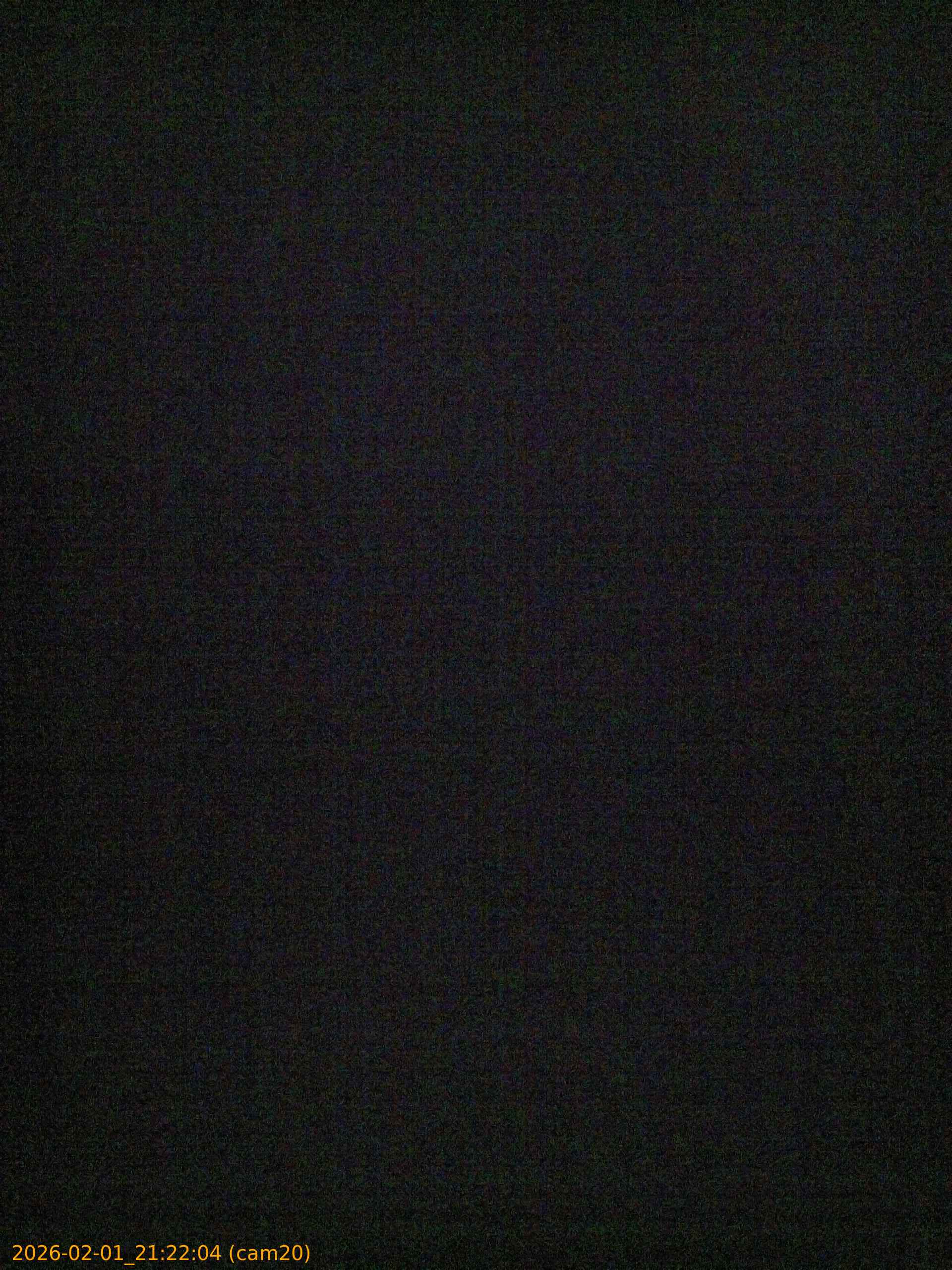 20260201212204
