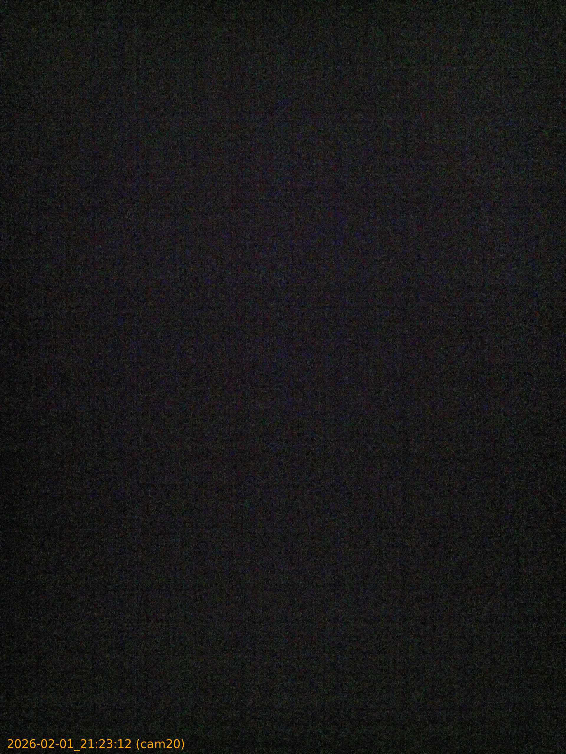 20260201212312