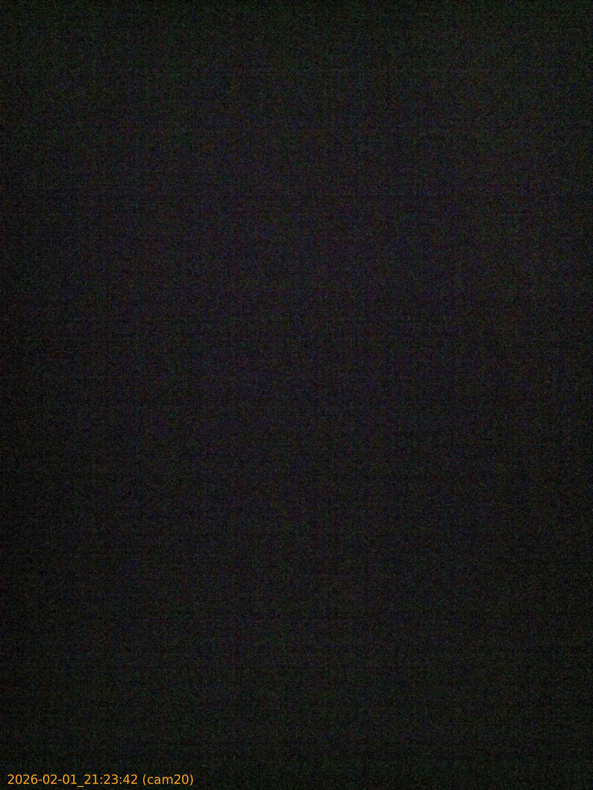 thumbnail_20260201212342