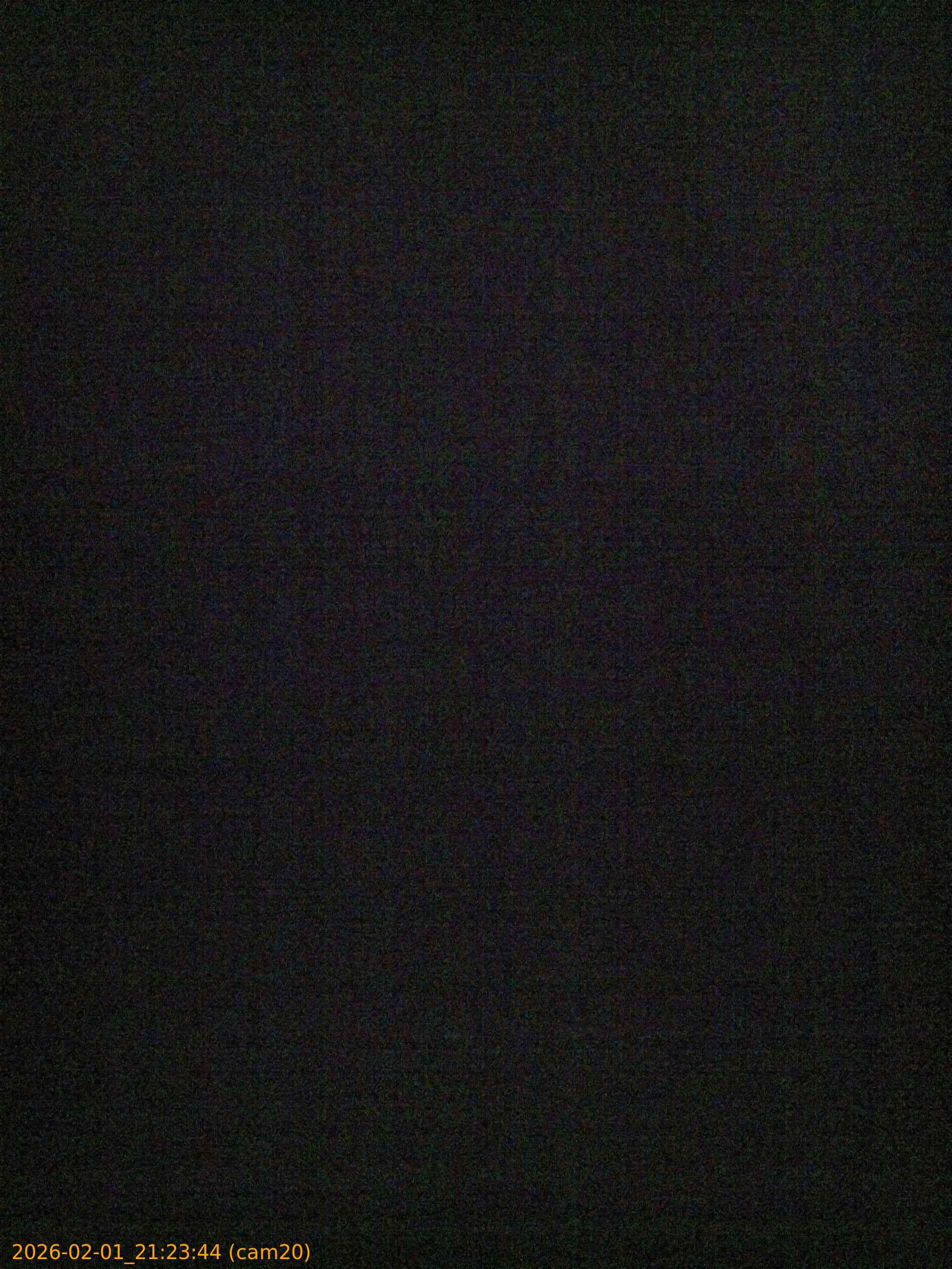 thumbnail_20260201212344