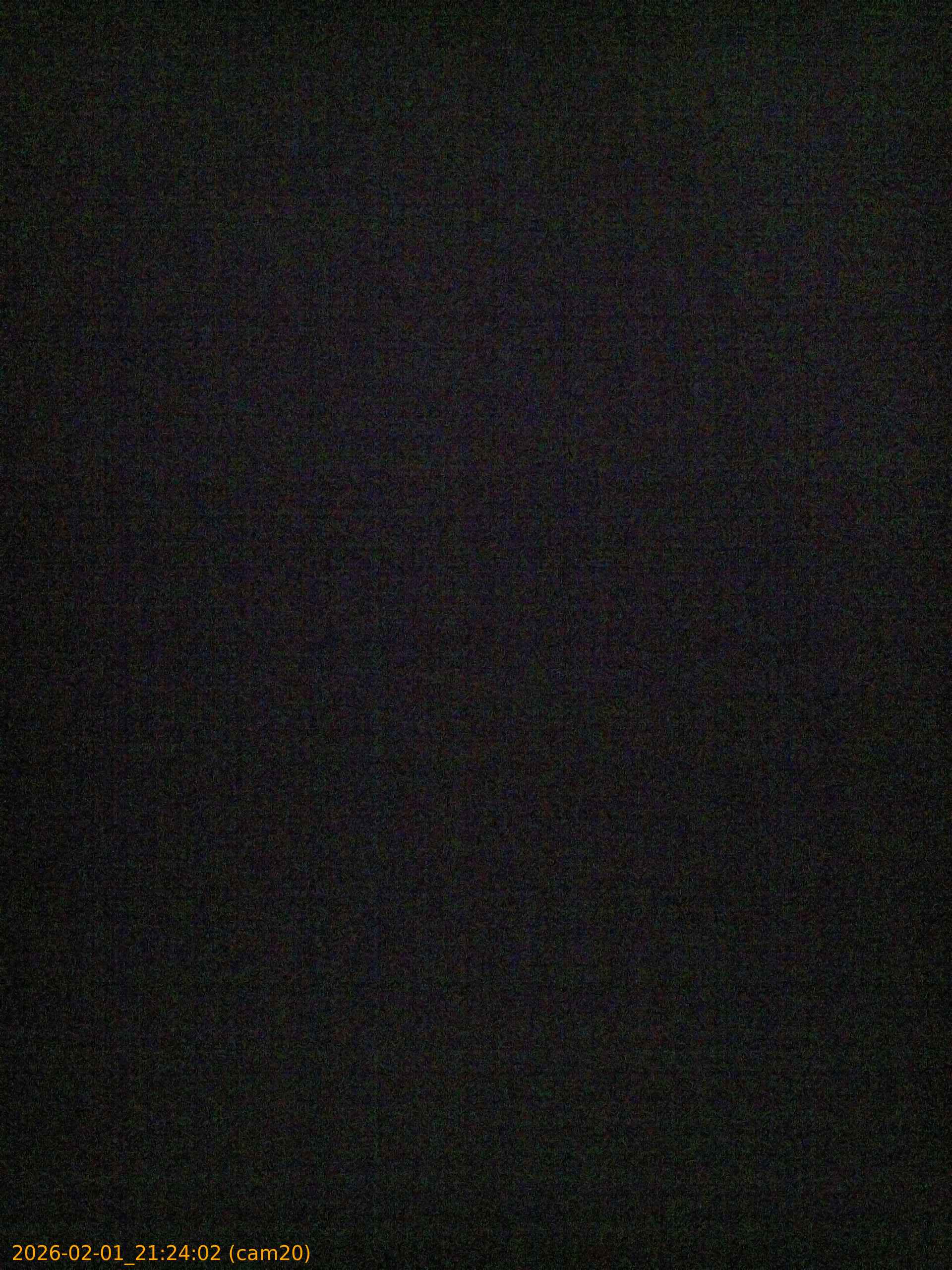 thumbnail_20260201212402