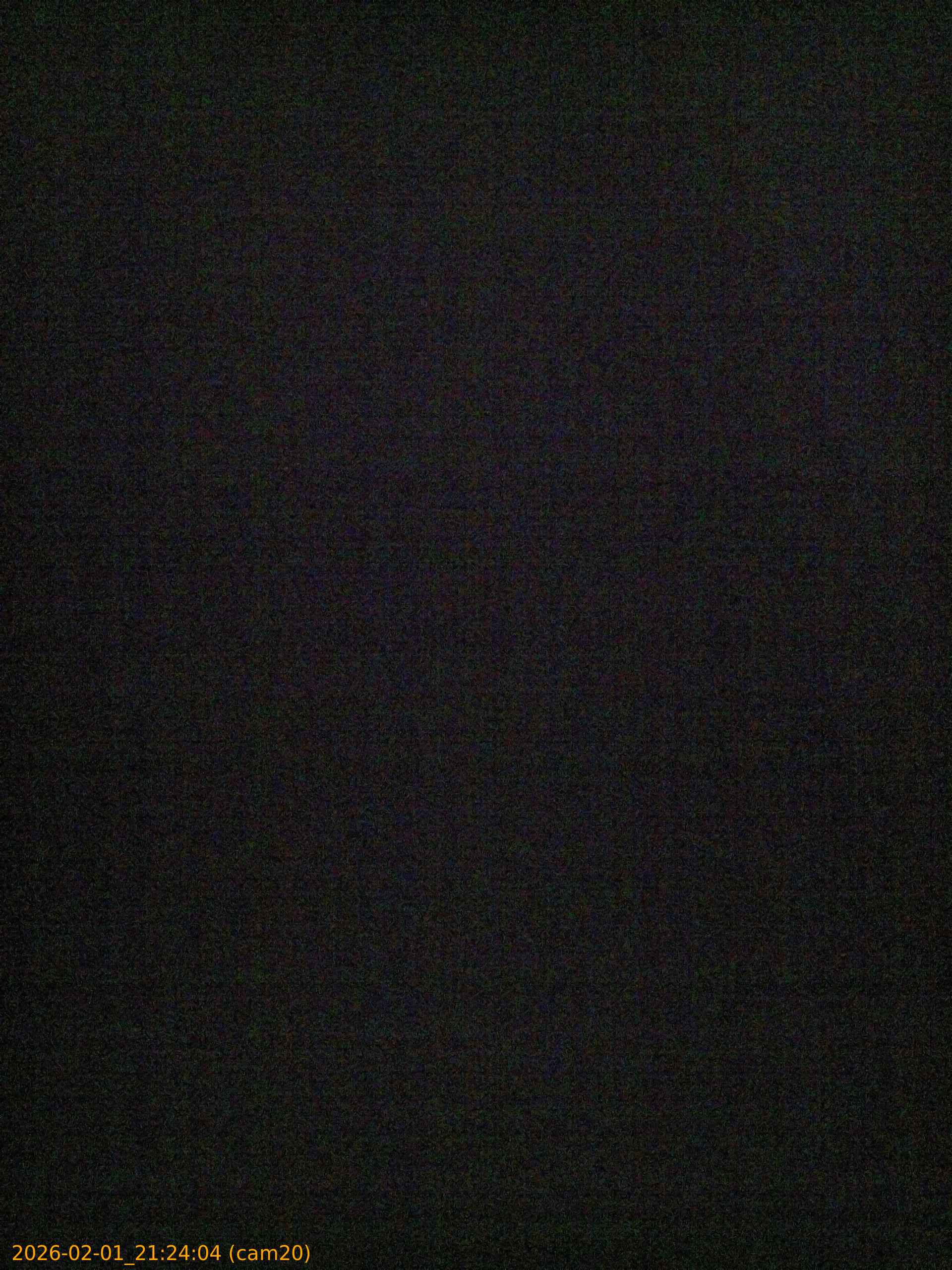 thumbnail_20260201212404