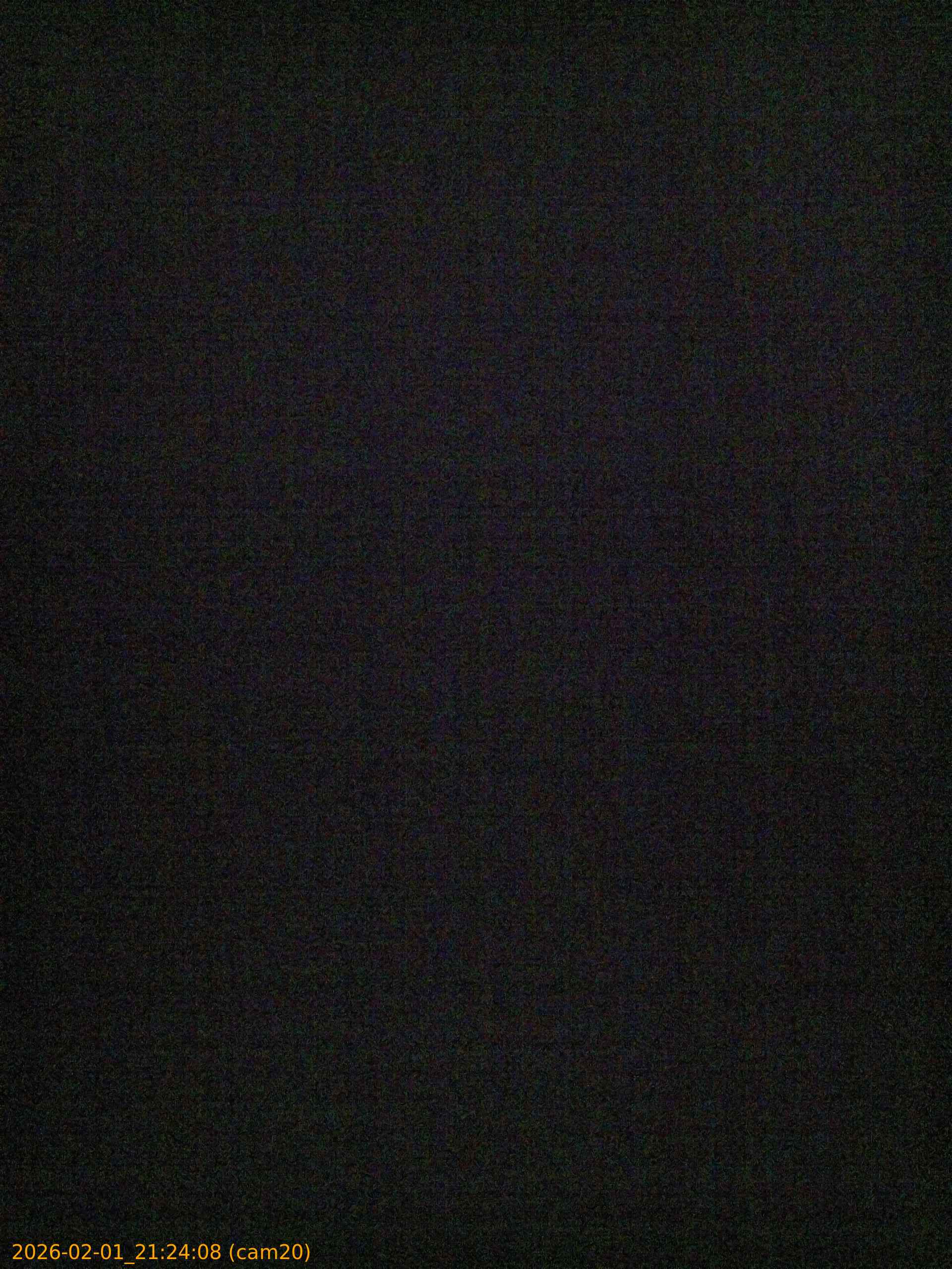 thumbnail_20260201212408