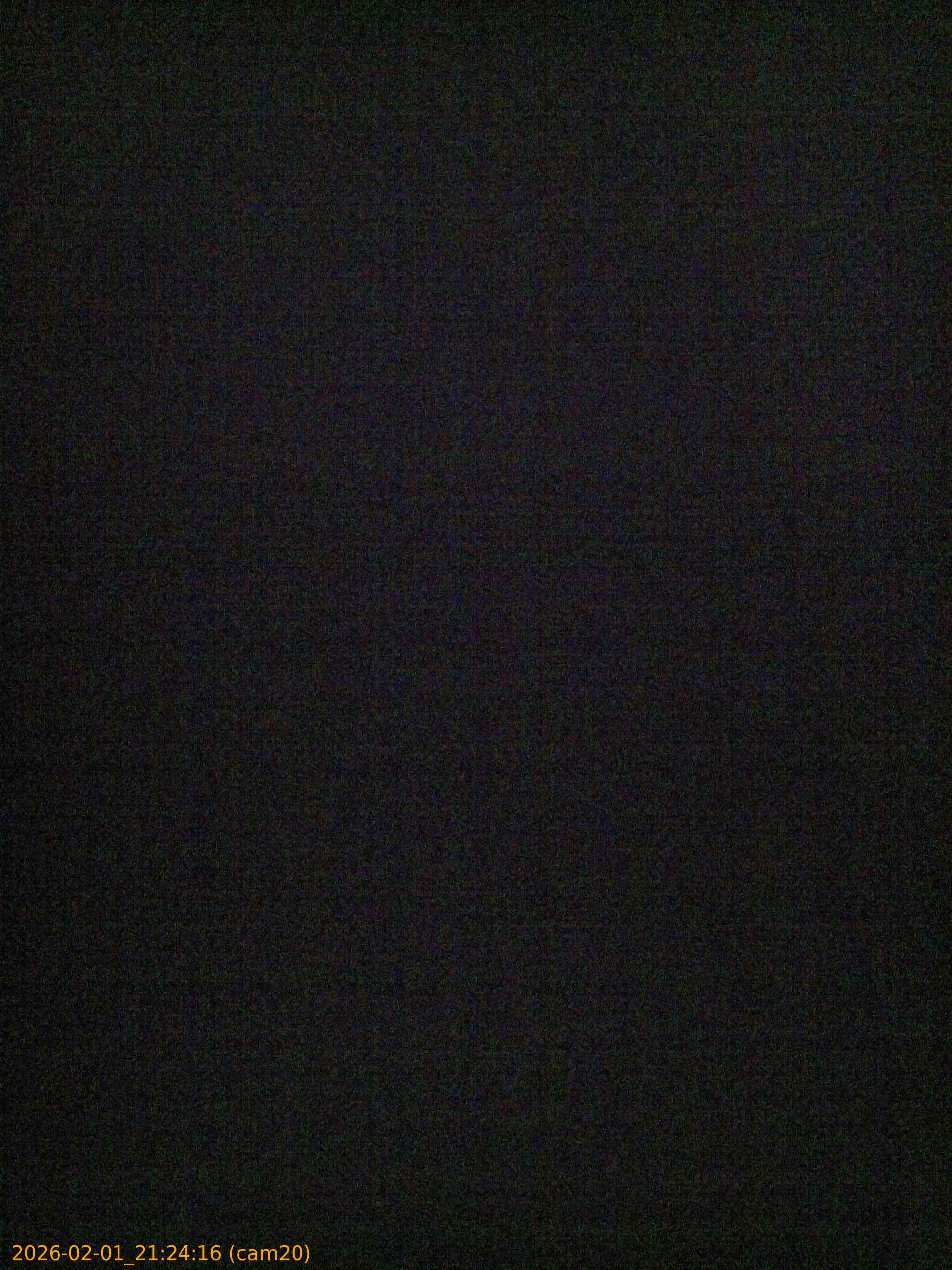 thumbnail_20260201212416