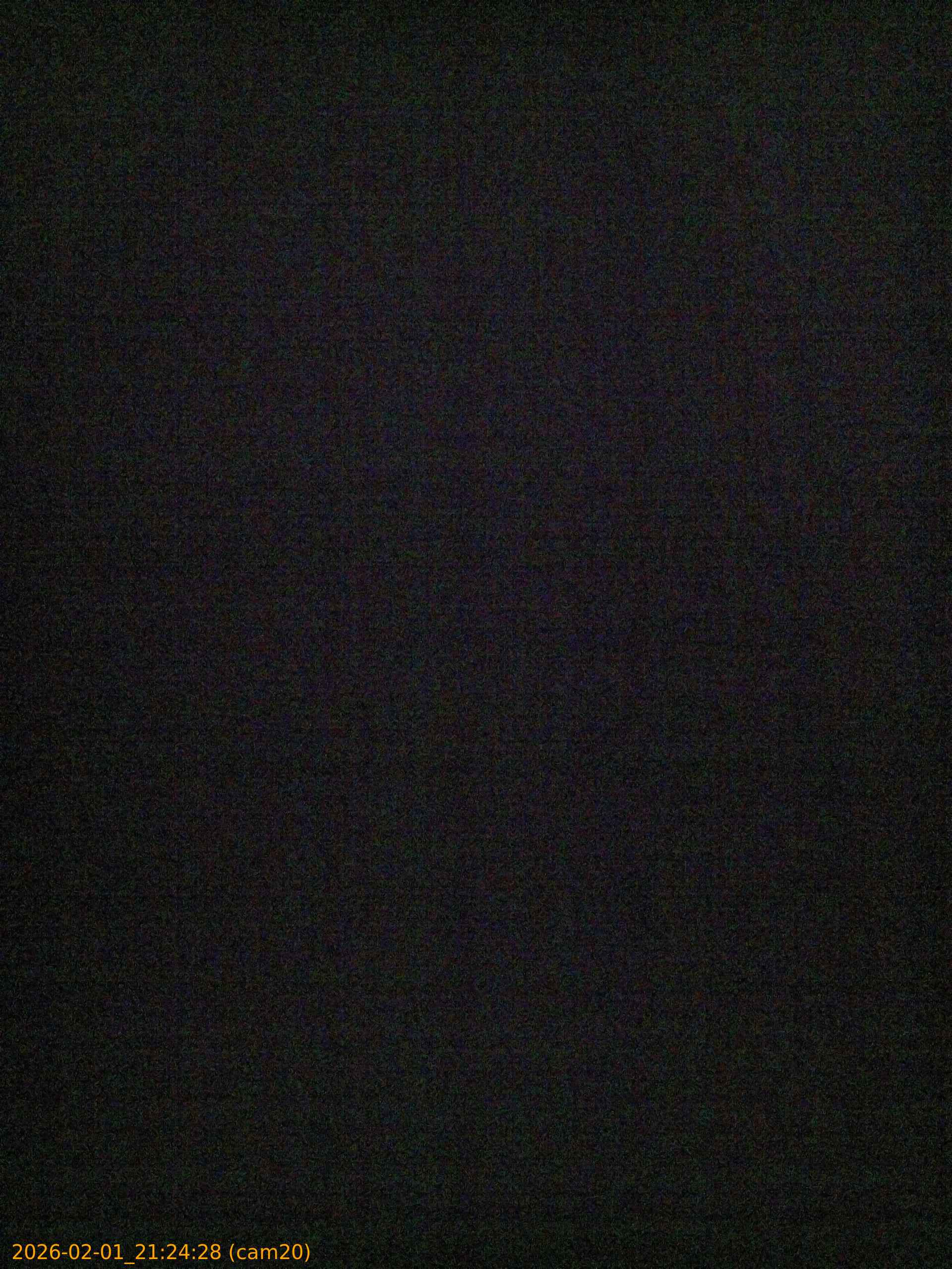 thumbnail_20260201212428