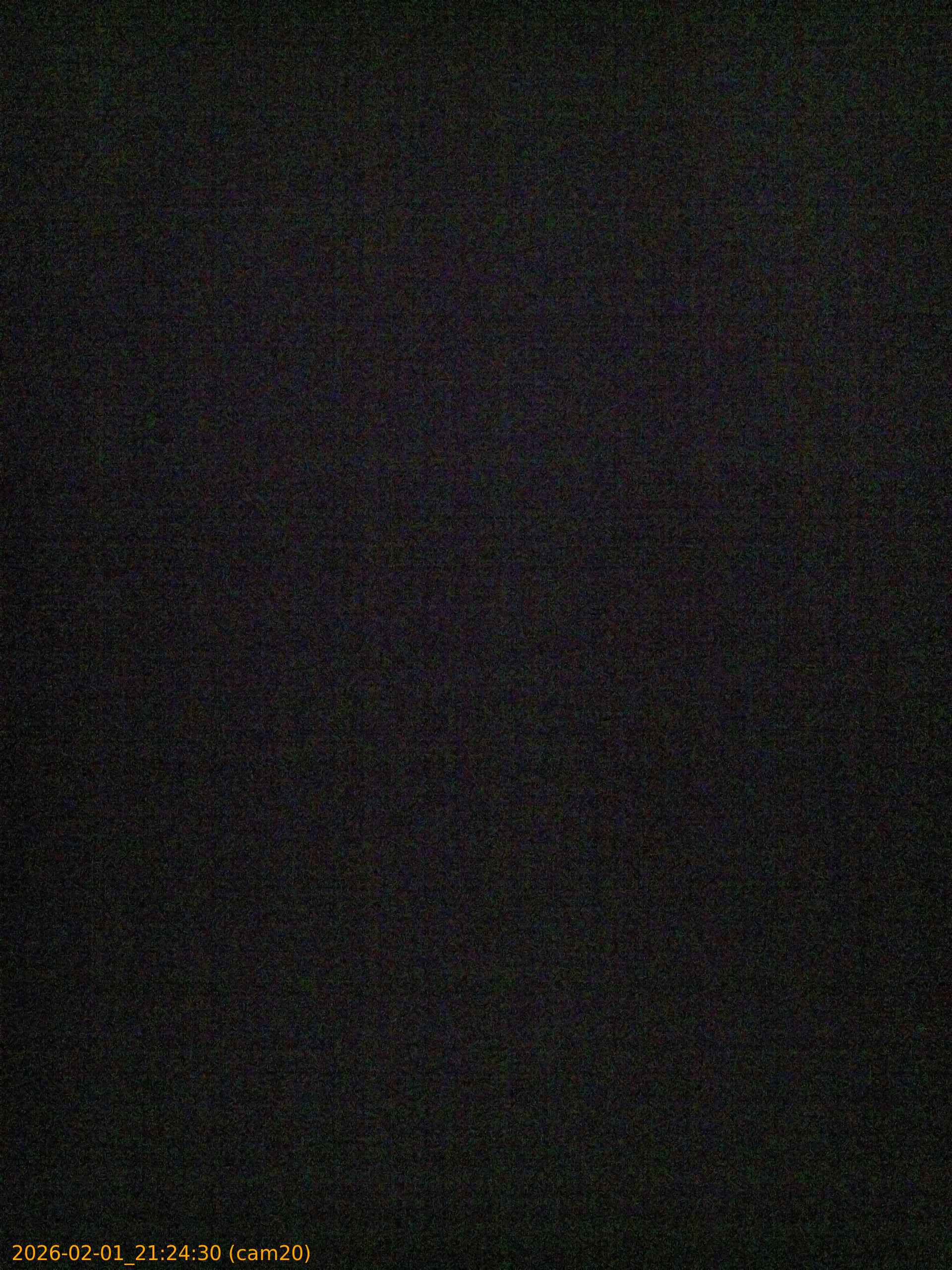 thumbnail_20260201212430