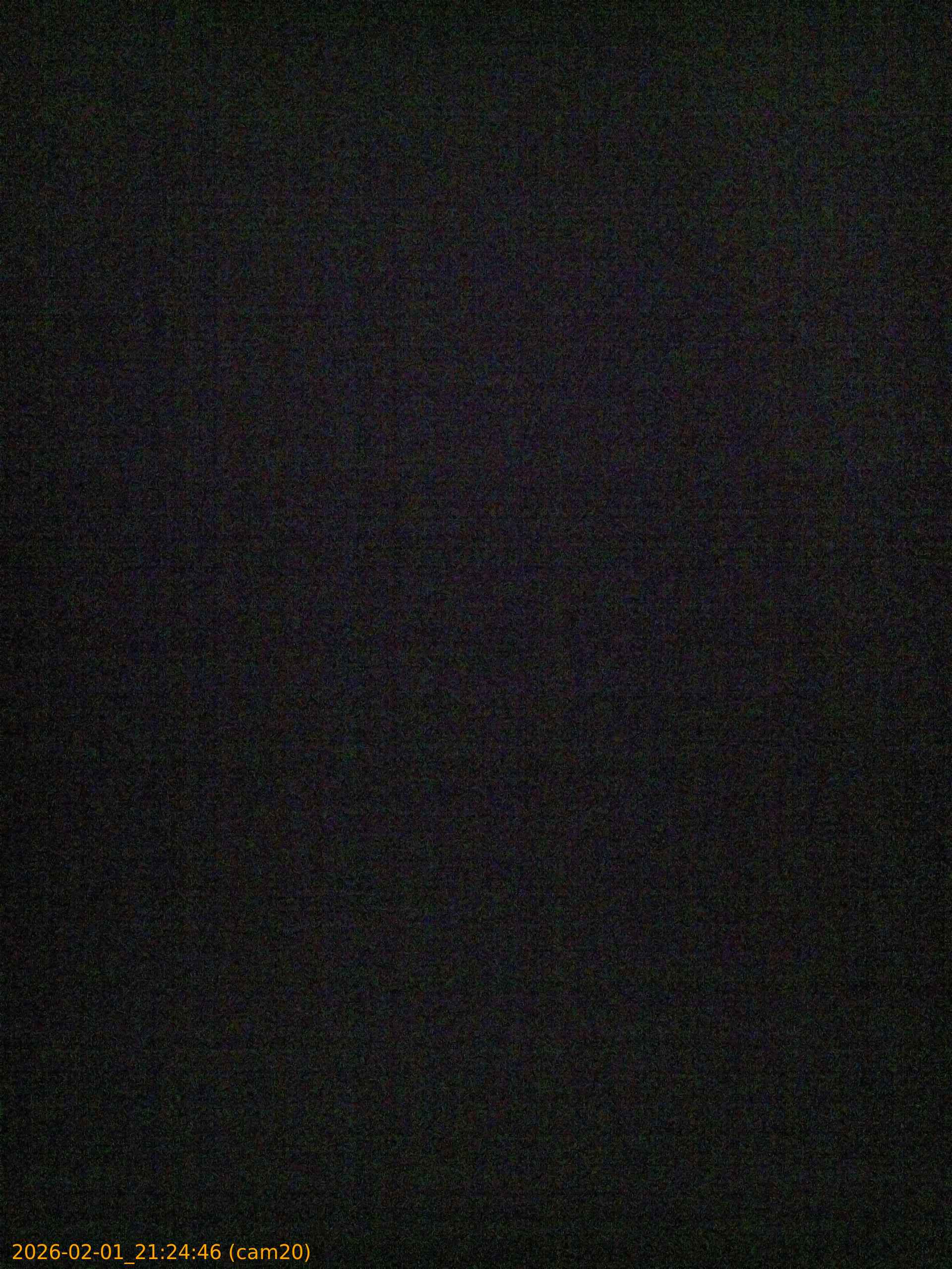 thumbnail_20260201212446