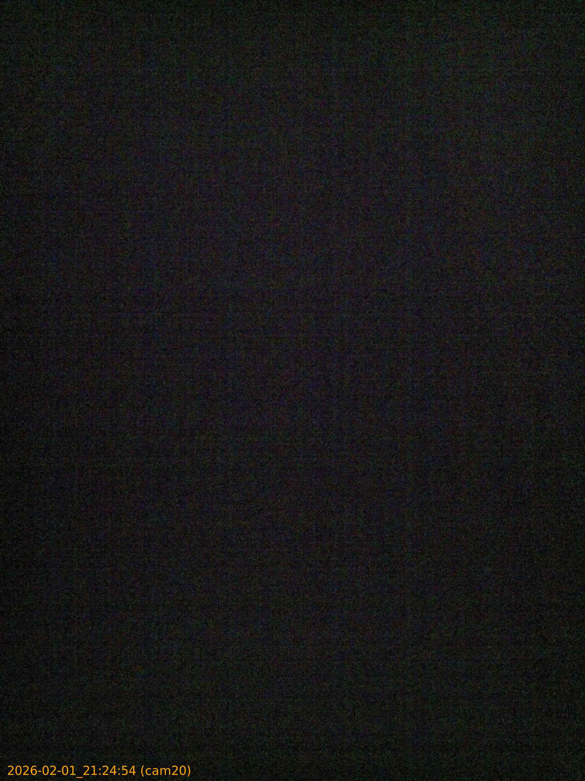 thumbnail_20260201212454