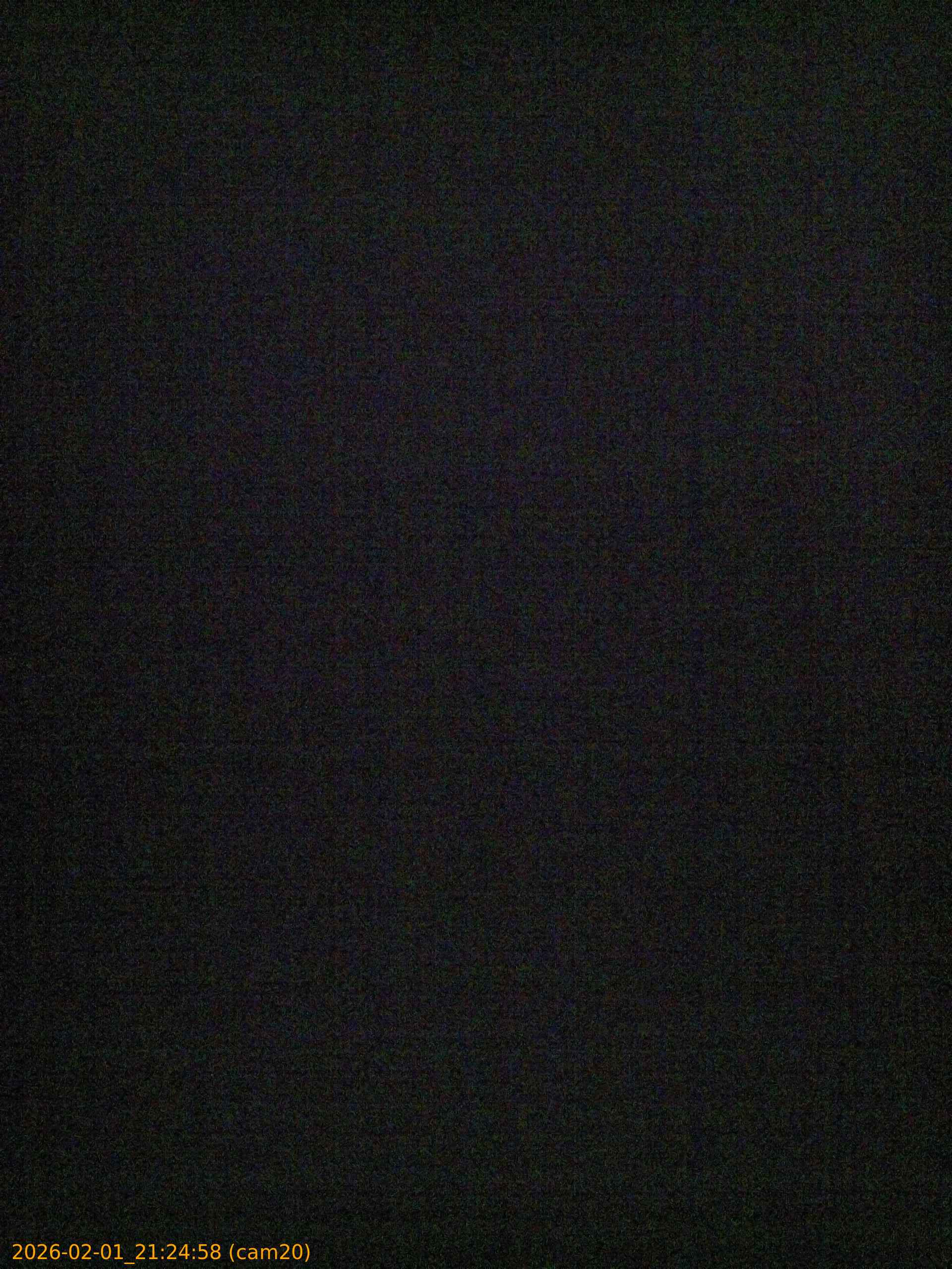 thumbnail_20260201212458