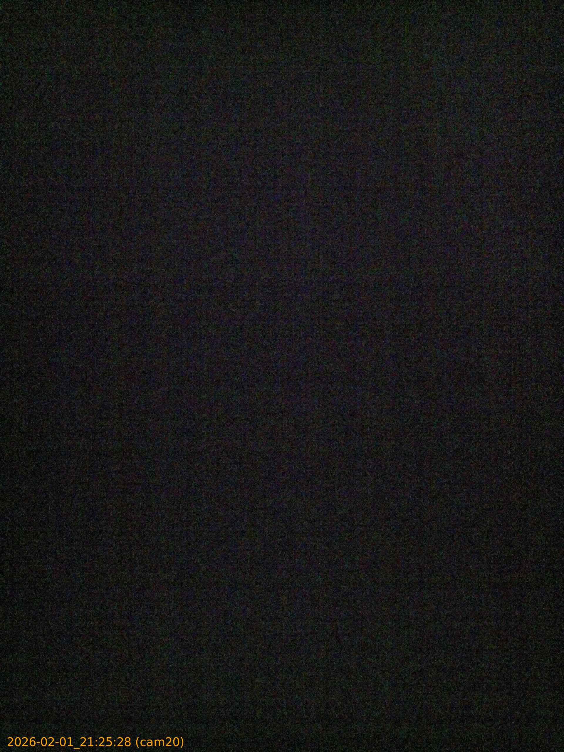 thumbnail_20260201212528