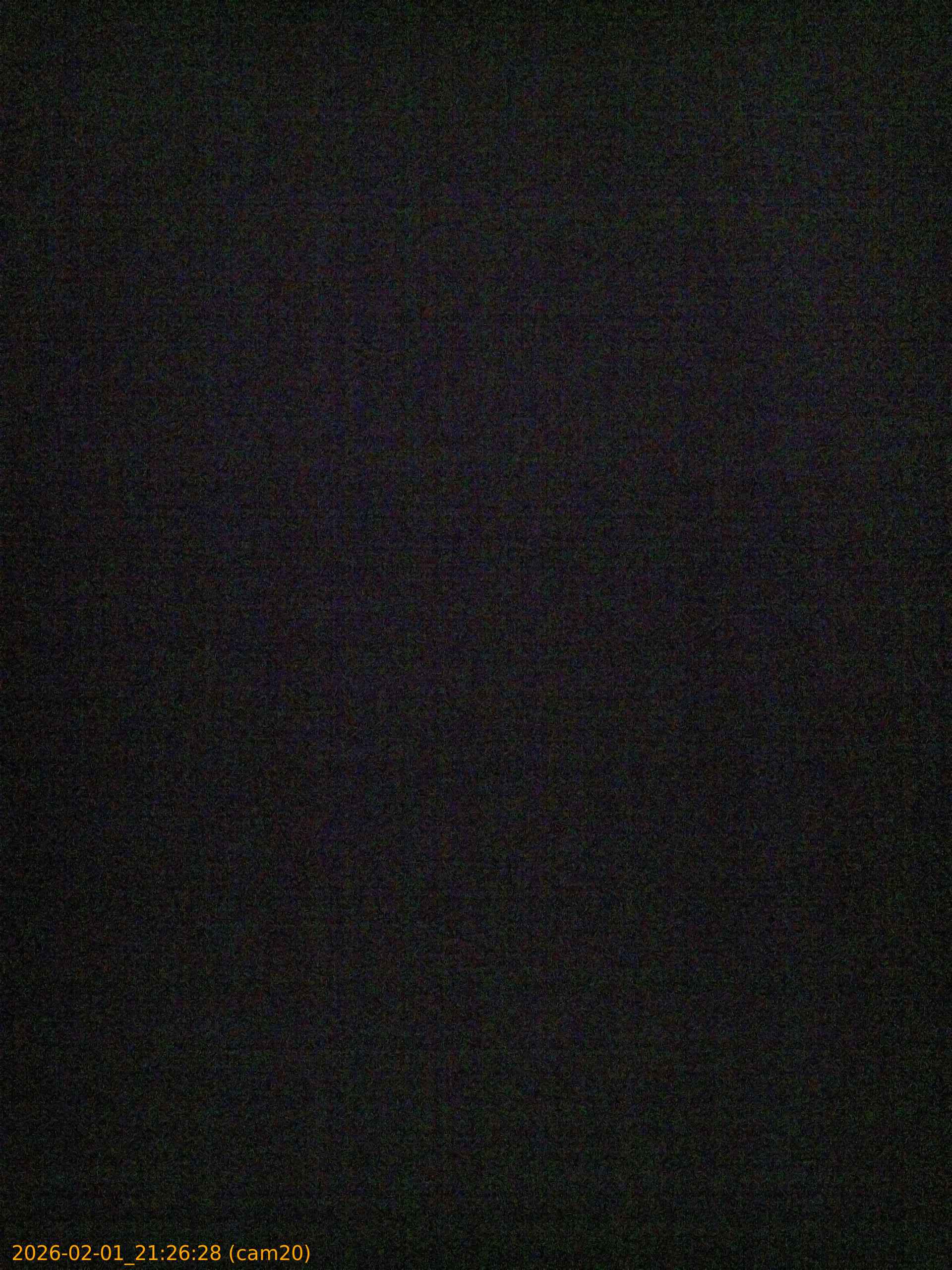 thumbnail_20260201212628