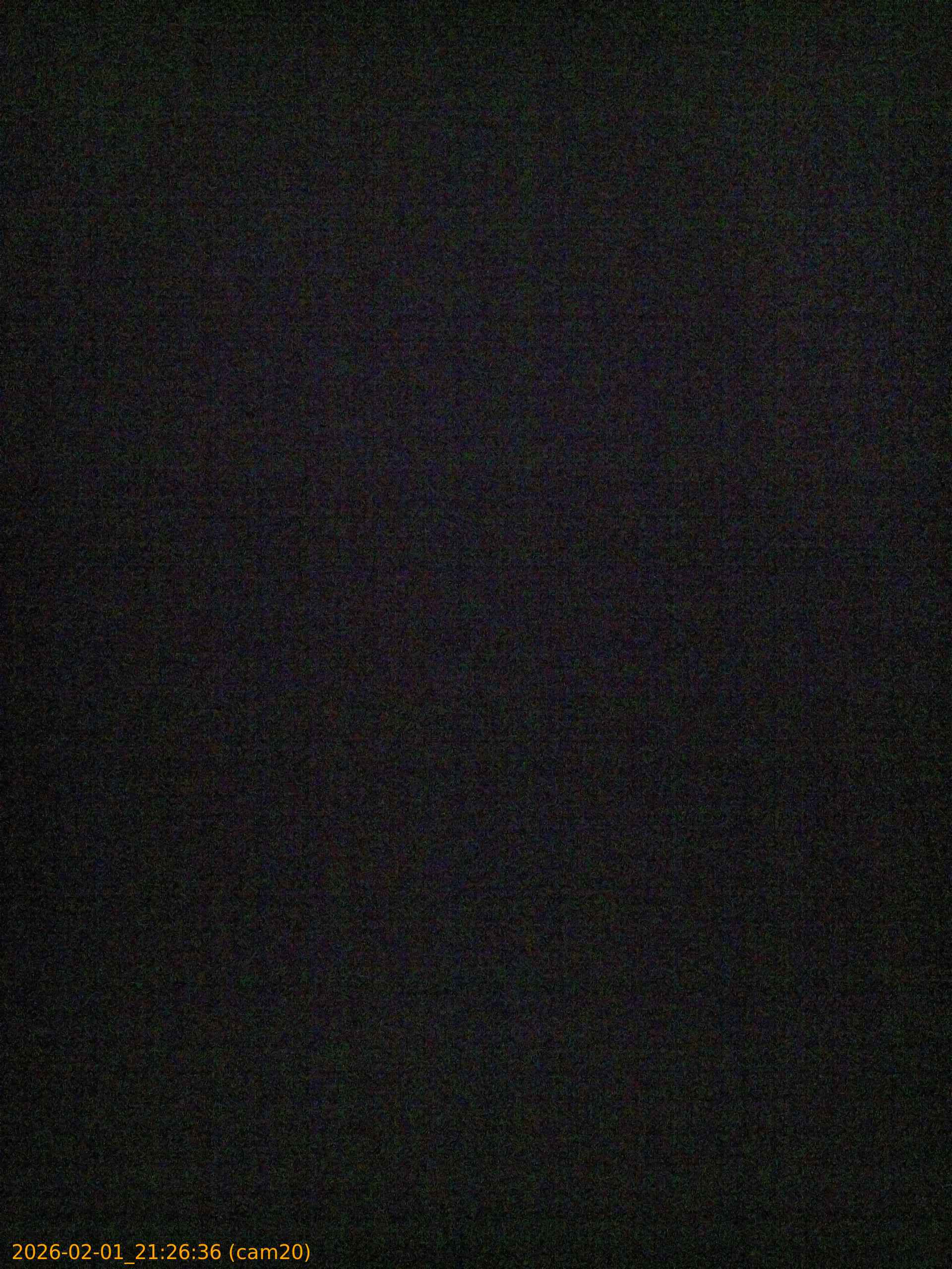 thumbnail_20260201212636